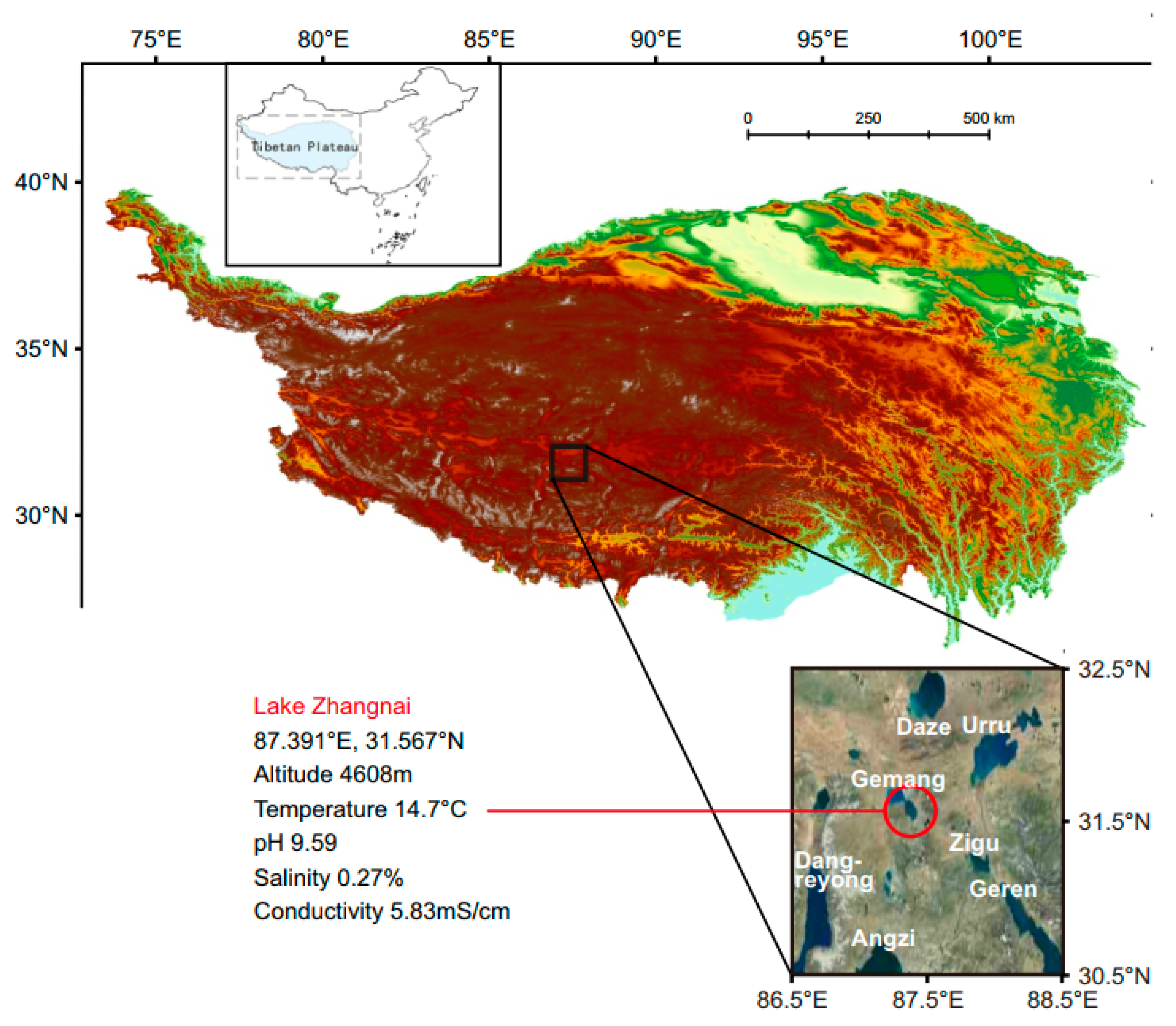 Microorganisms 11 02817 g001