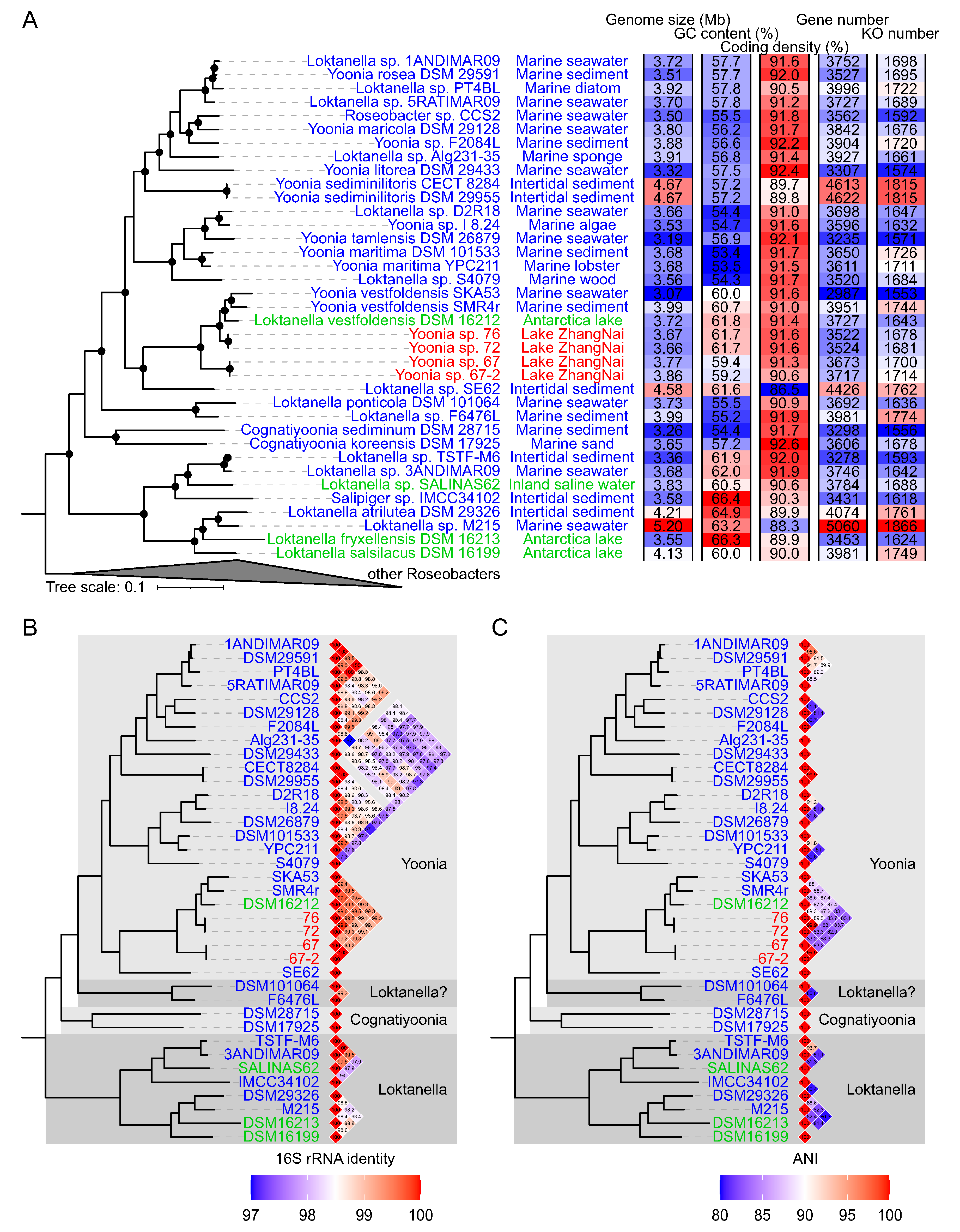 Microorganisms 11 02817 g002