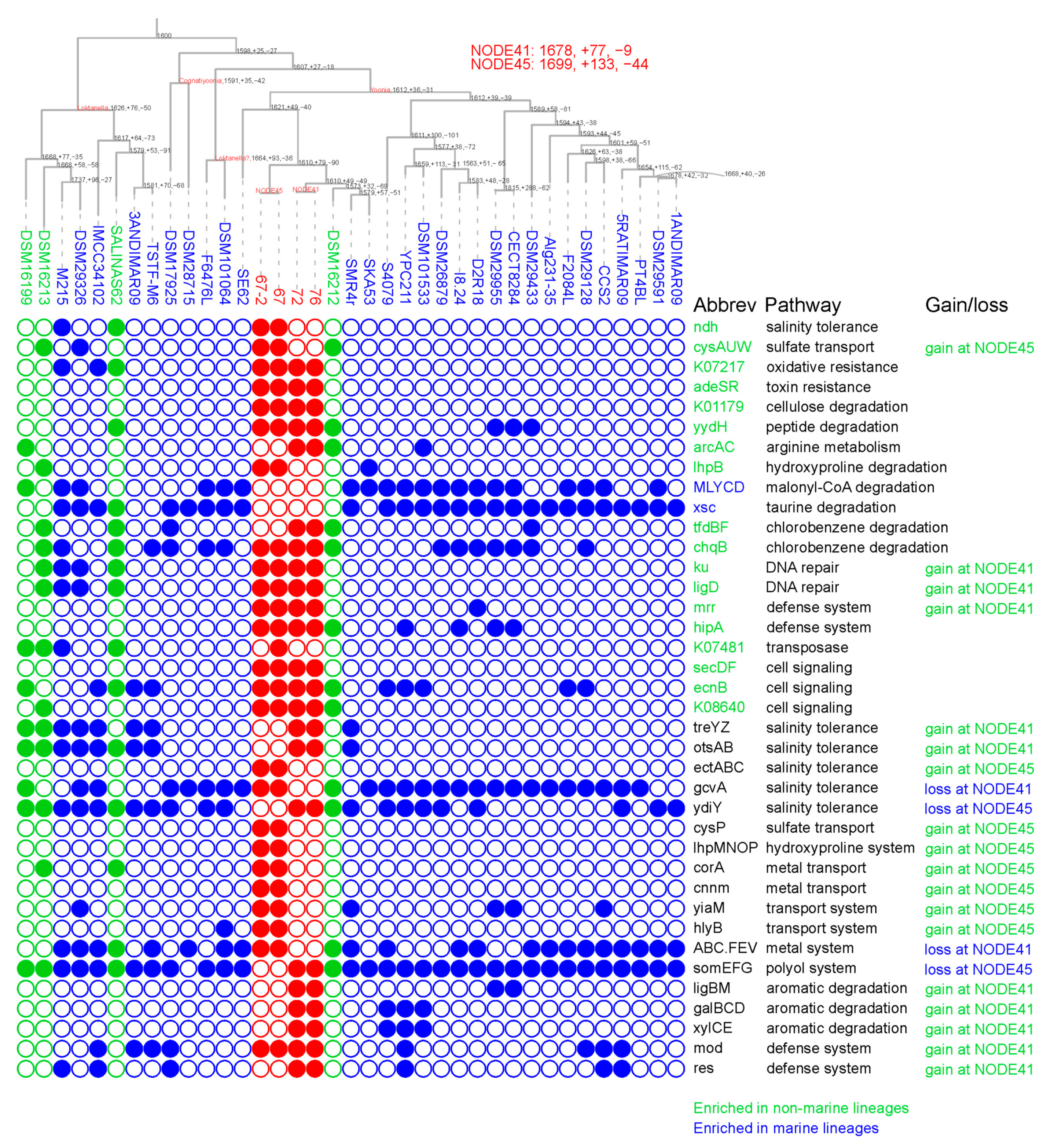 Microorganisms 11 02817 g003