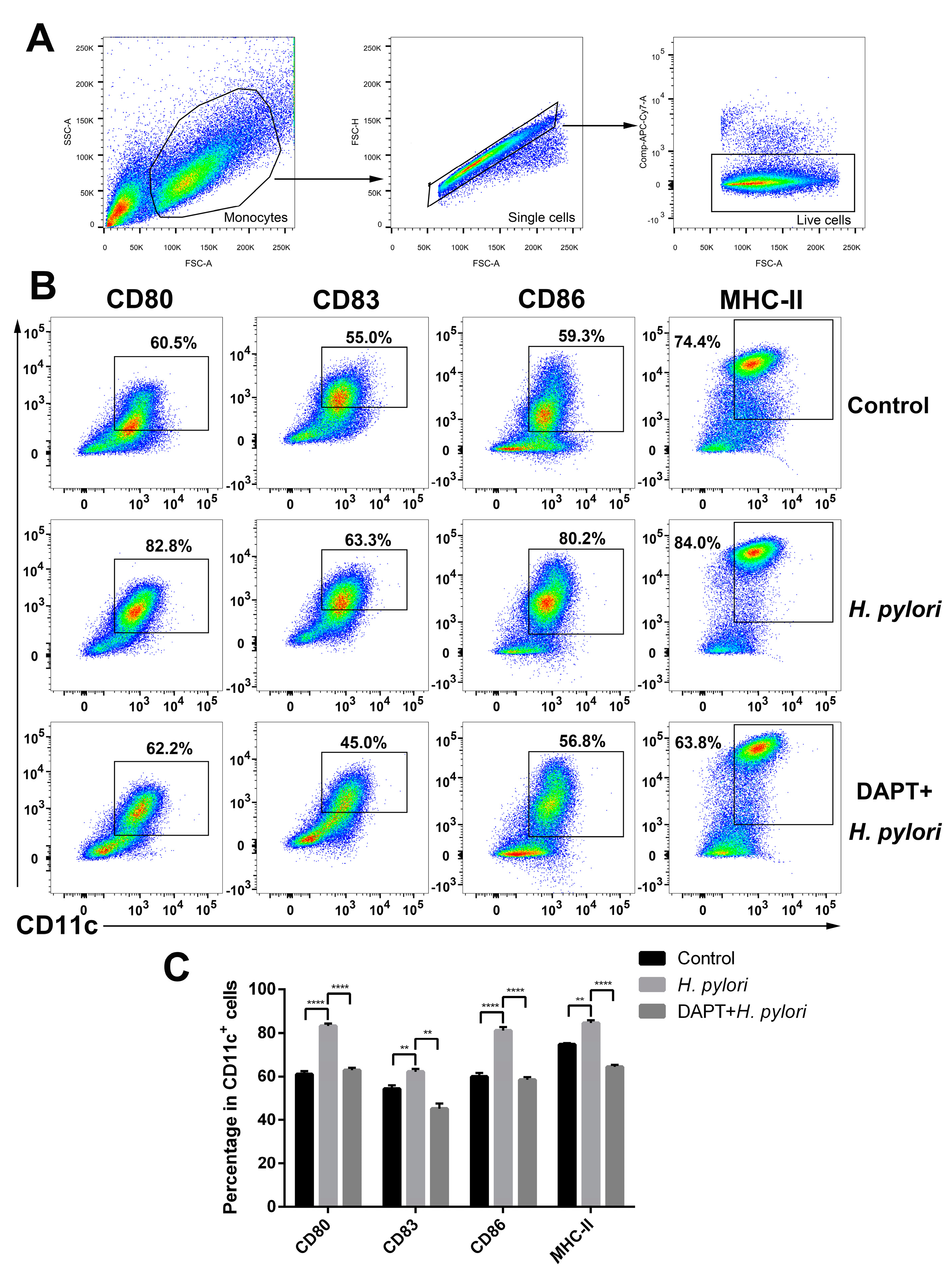 Microorganisms 11 02818 g003