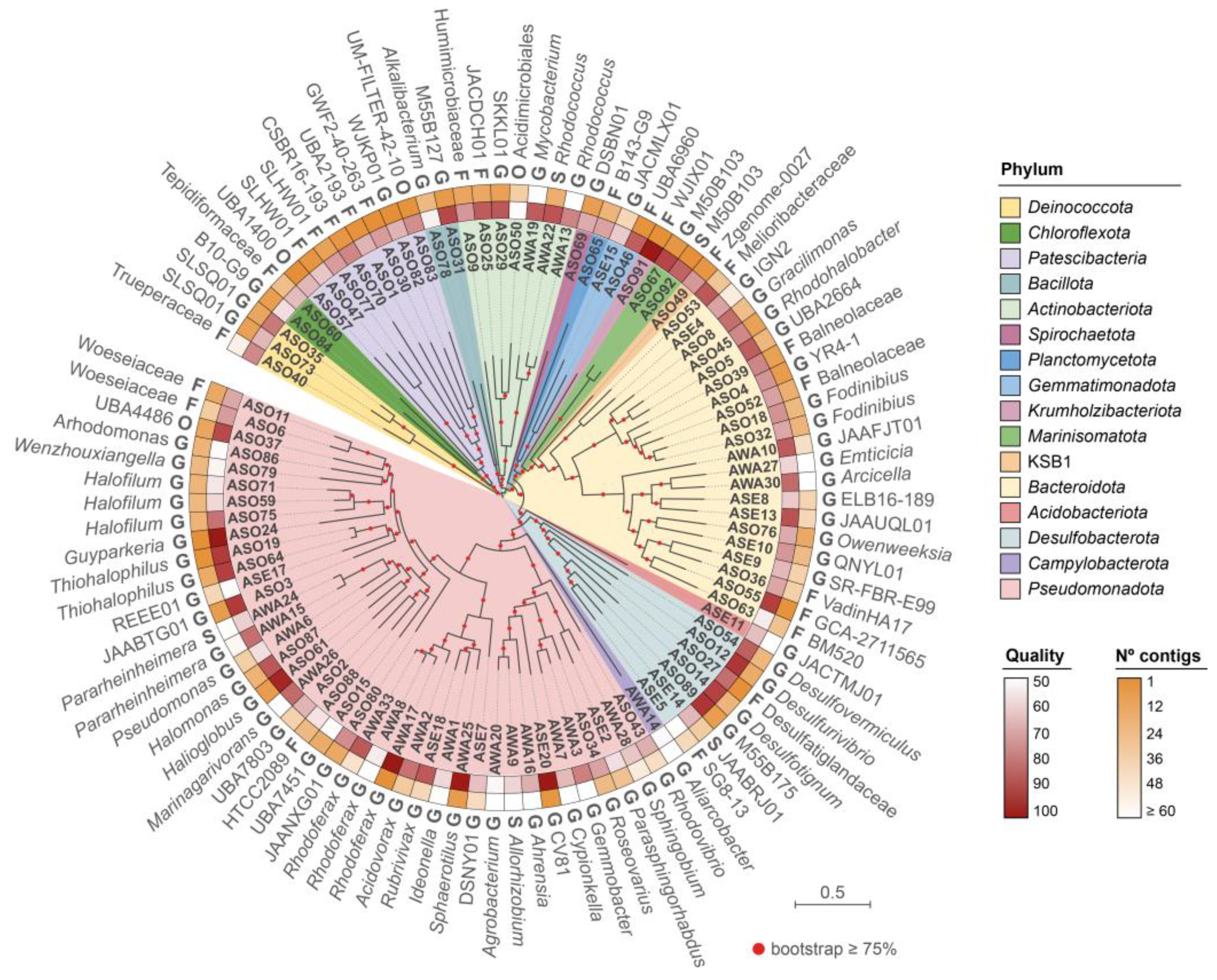 Microorganisms 11 02819 g002