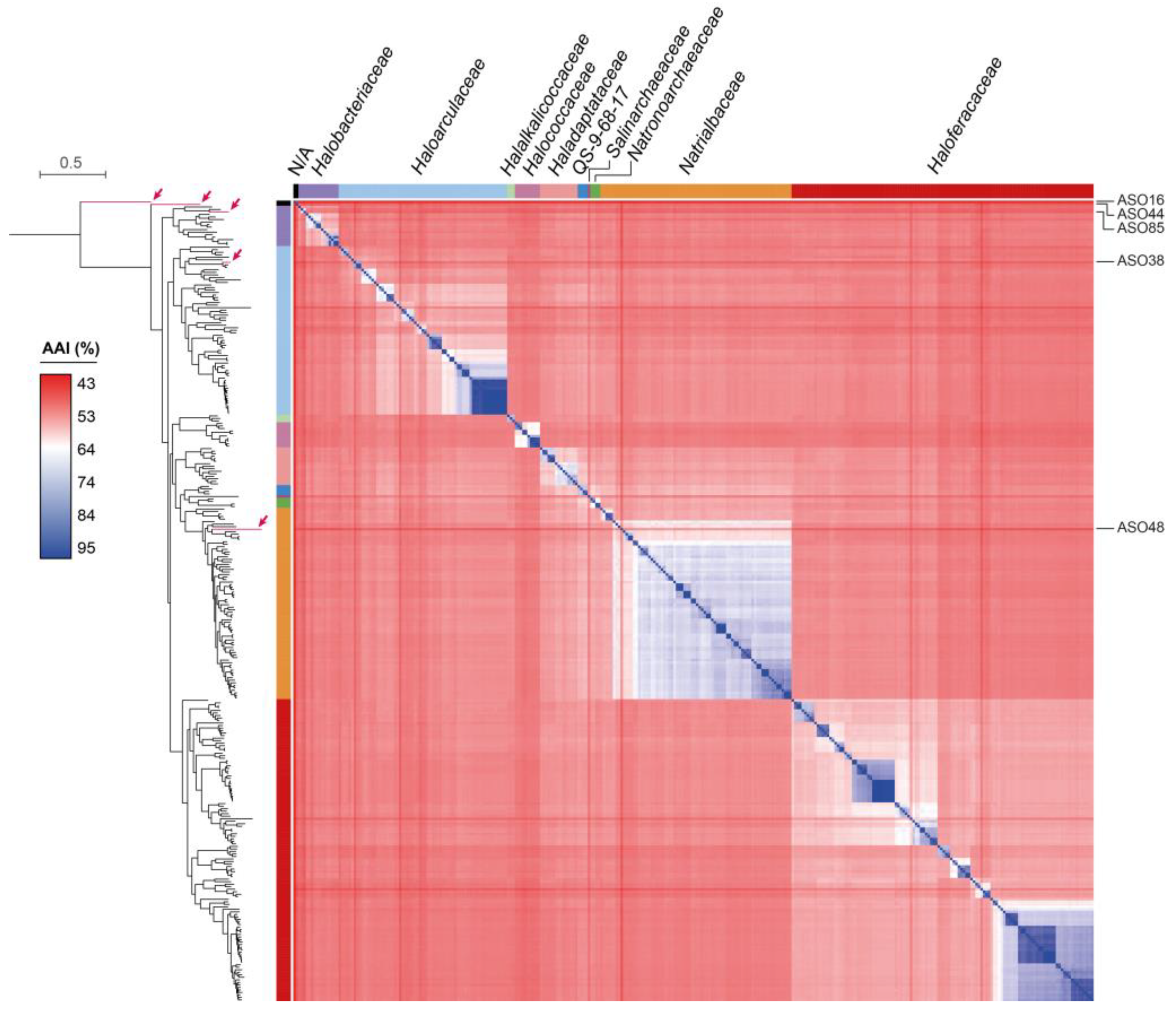 Microorganisms 11 02819 g003