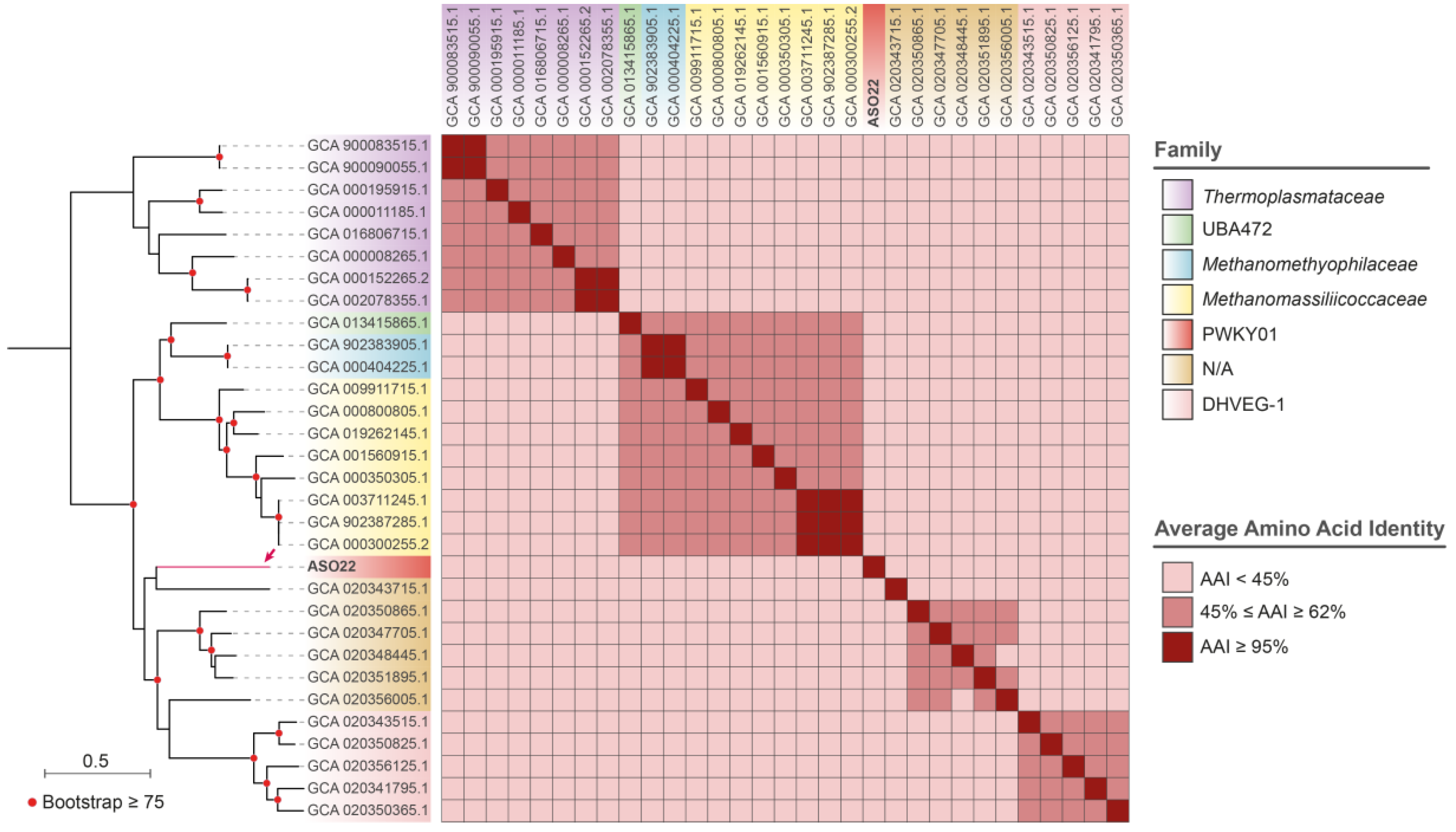 Microorganisms 11 02819 g004