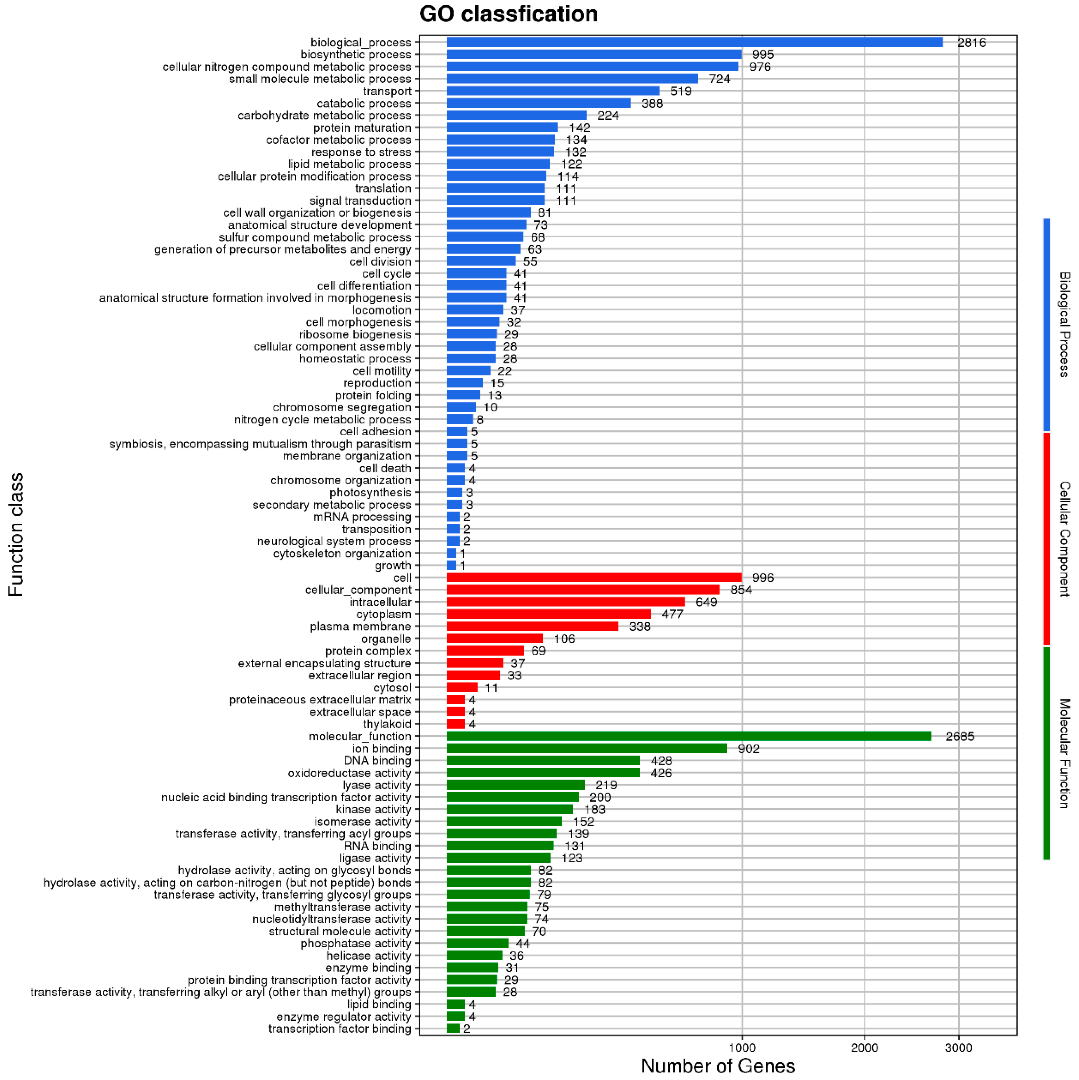 Microorganisms 11 02821 g010