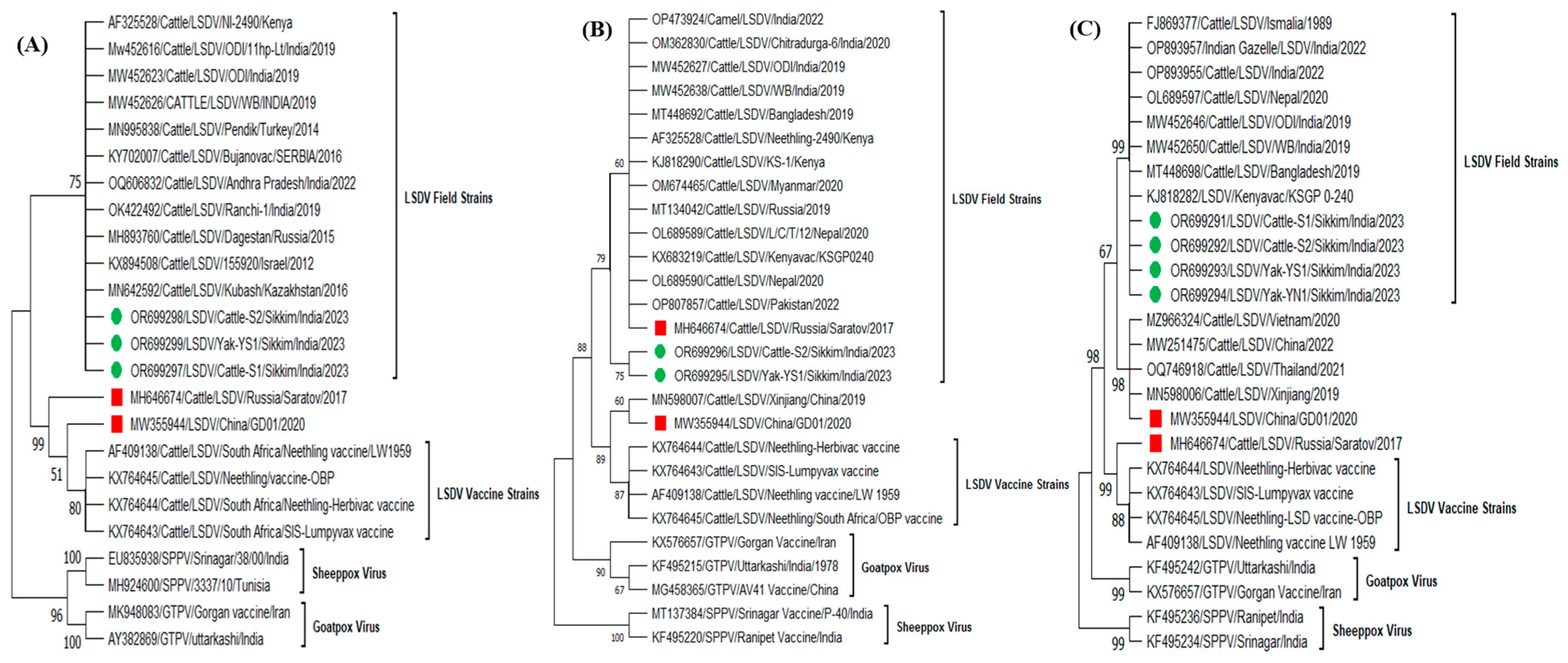 Microorganisms 11 02823 g004