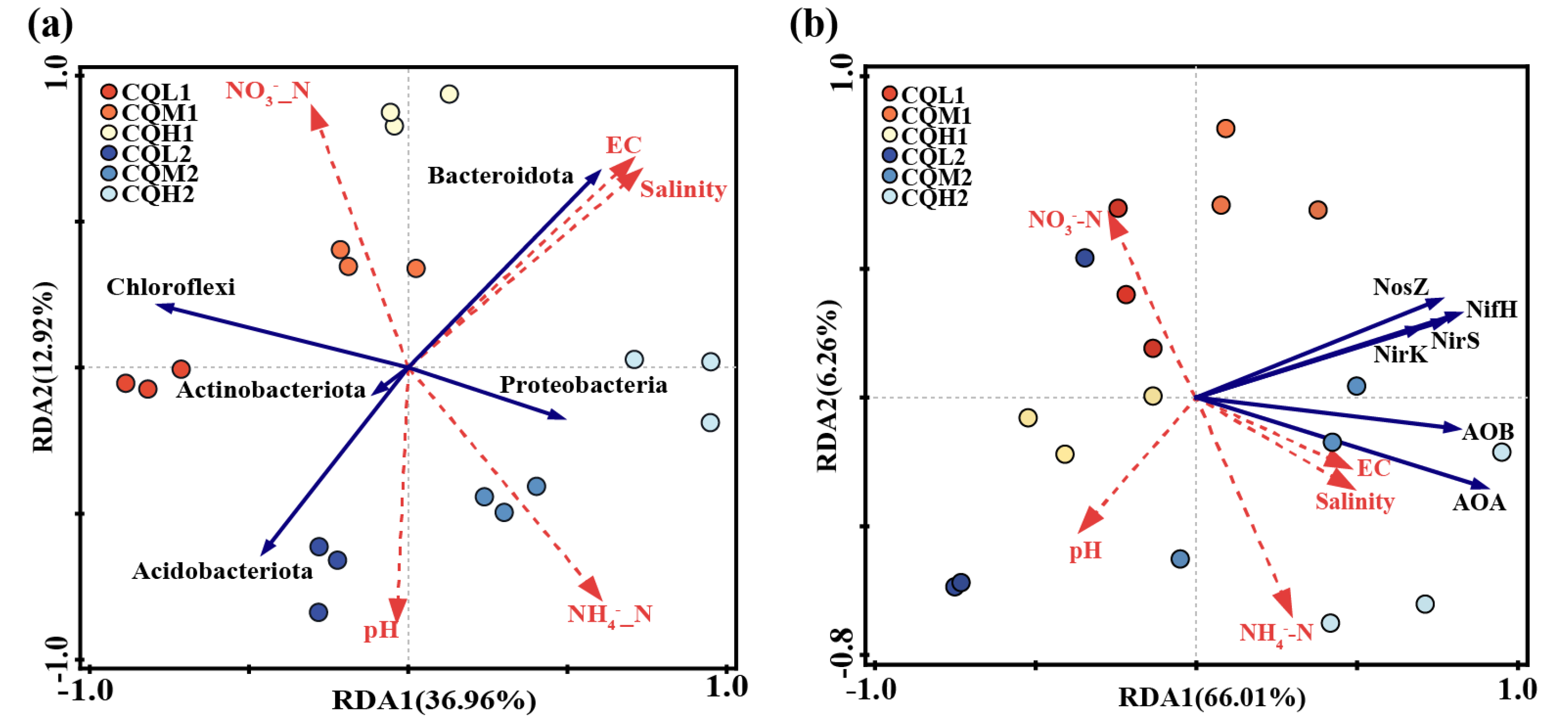 Microorganisms 11 02829 g010