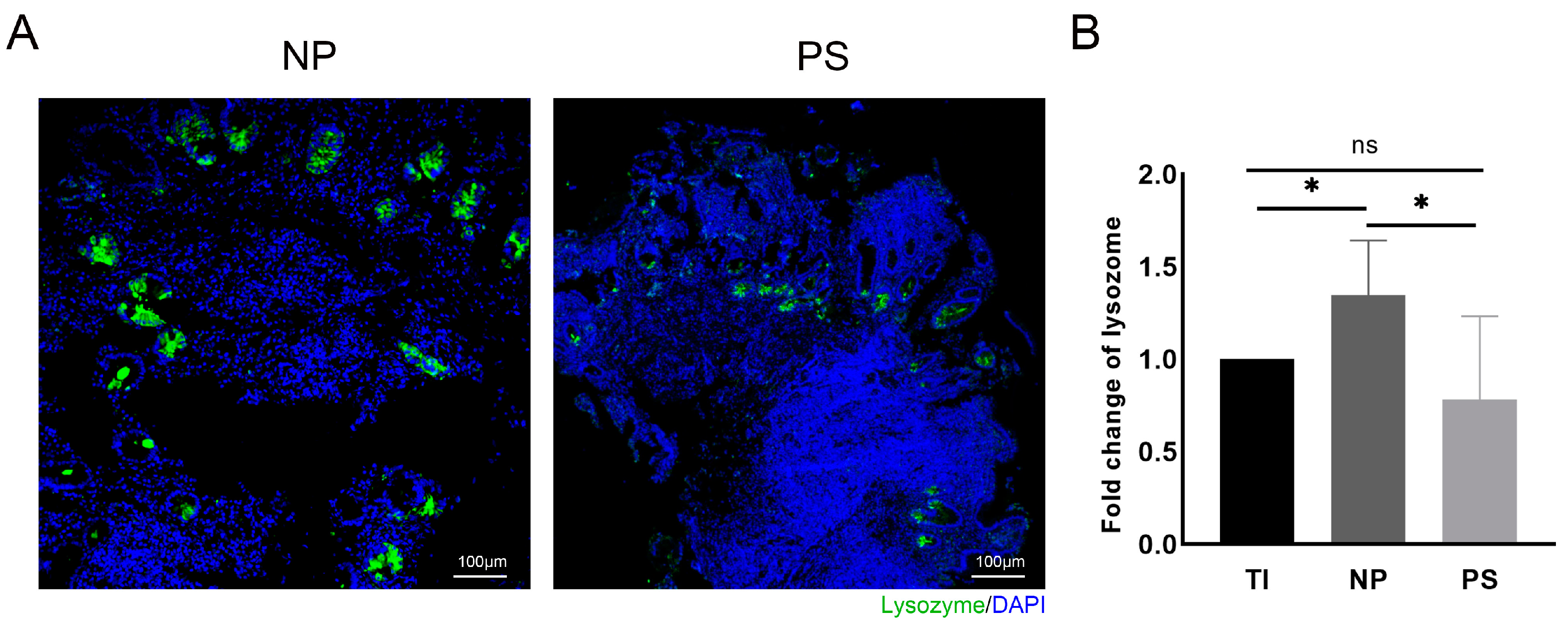 Microorganisms 11 02832 g001