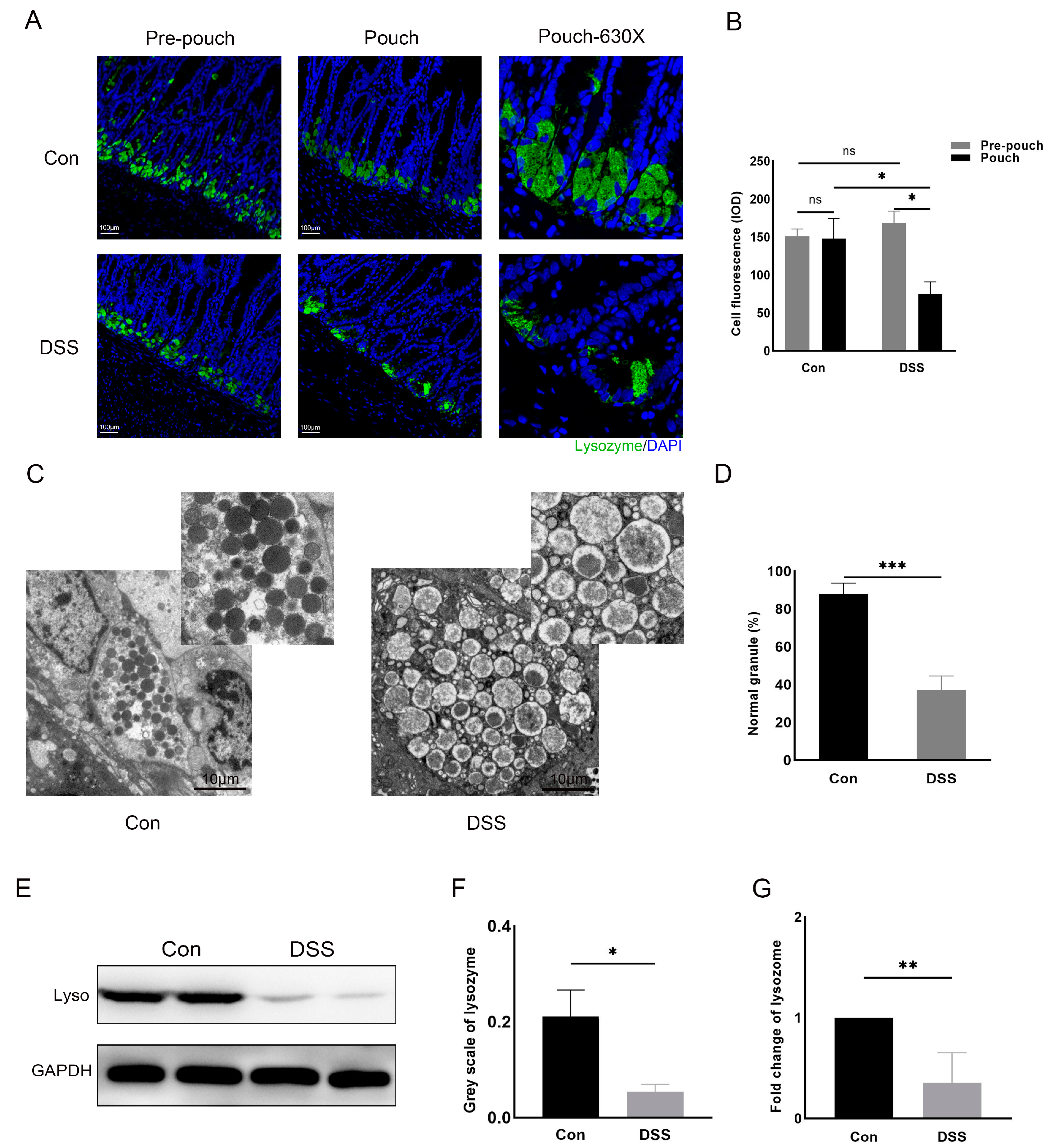 Microorganisms 11 02832 g002