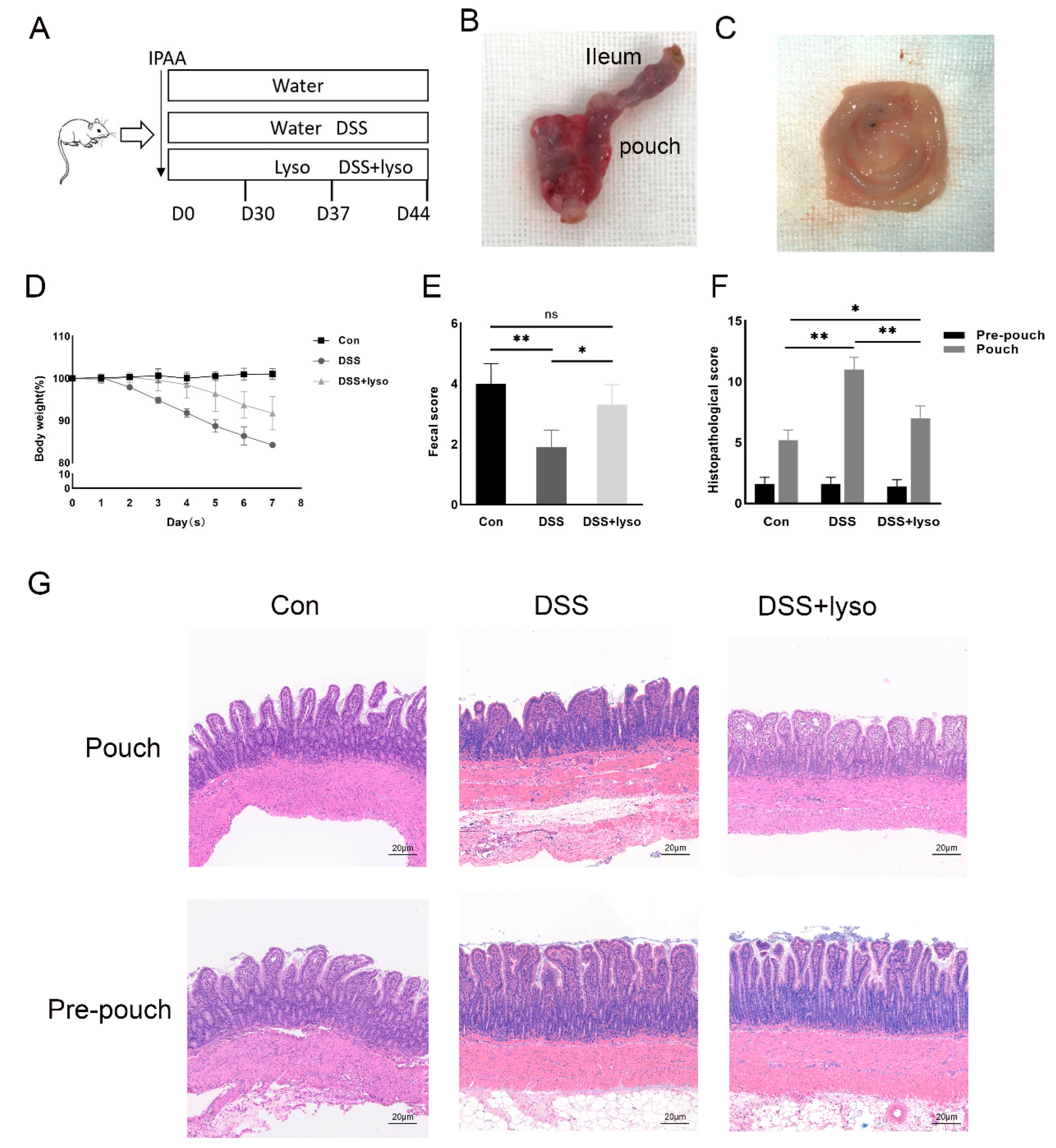 Microorganisms 11 02832 g003