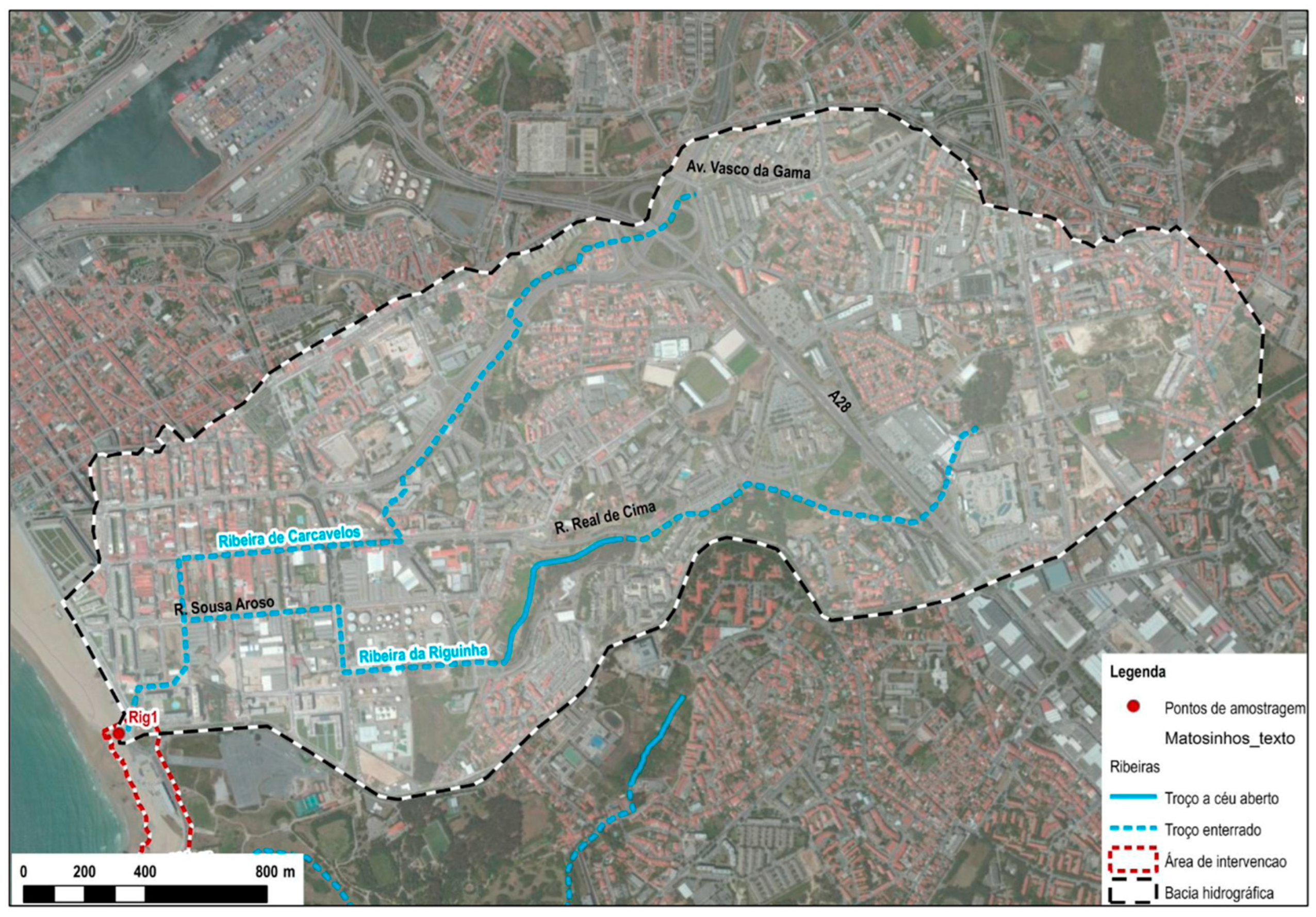 Microorganisms 11 02833 g002