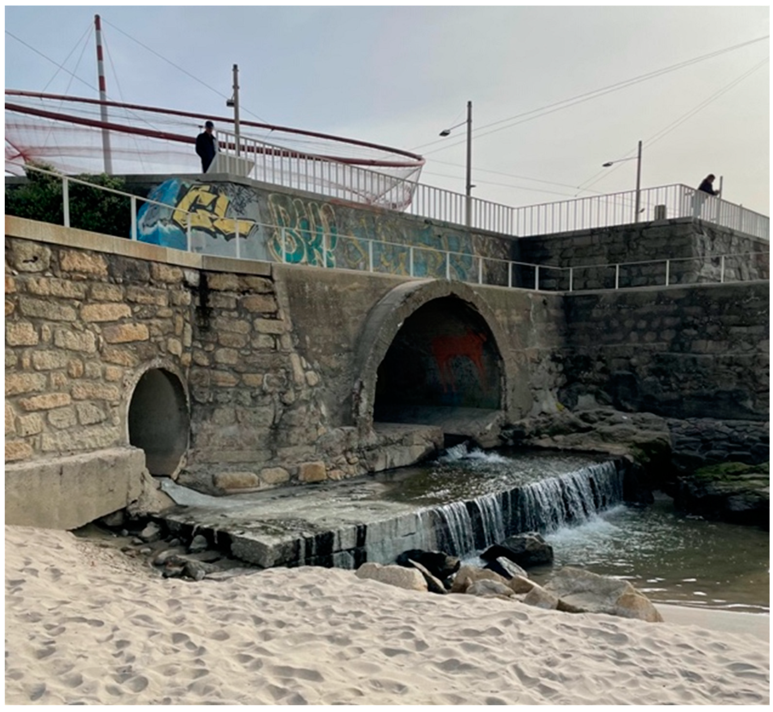 Microorganisms 11 02833 sch001