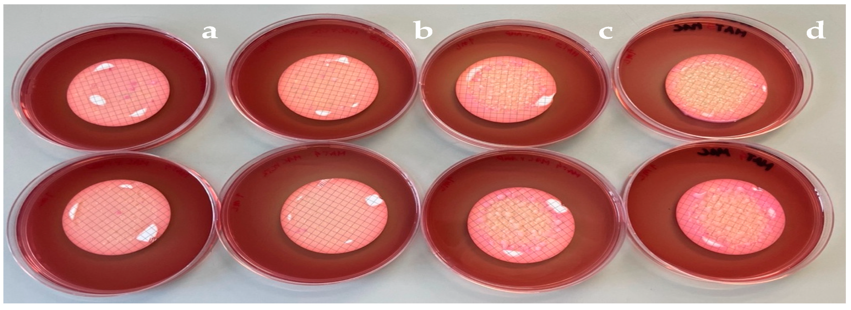 Microorganisms 11 02833 sch003