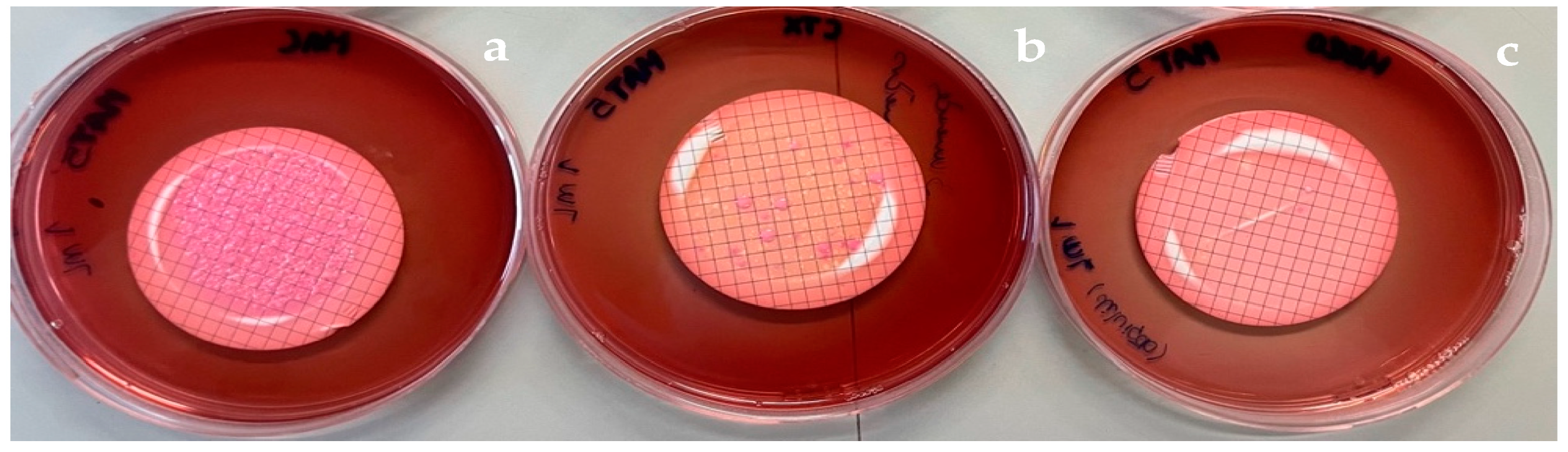 Microorganisms 11 02833 sch005