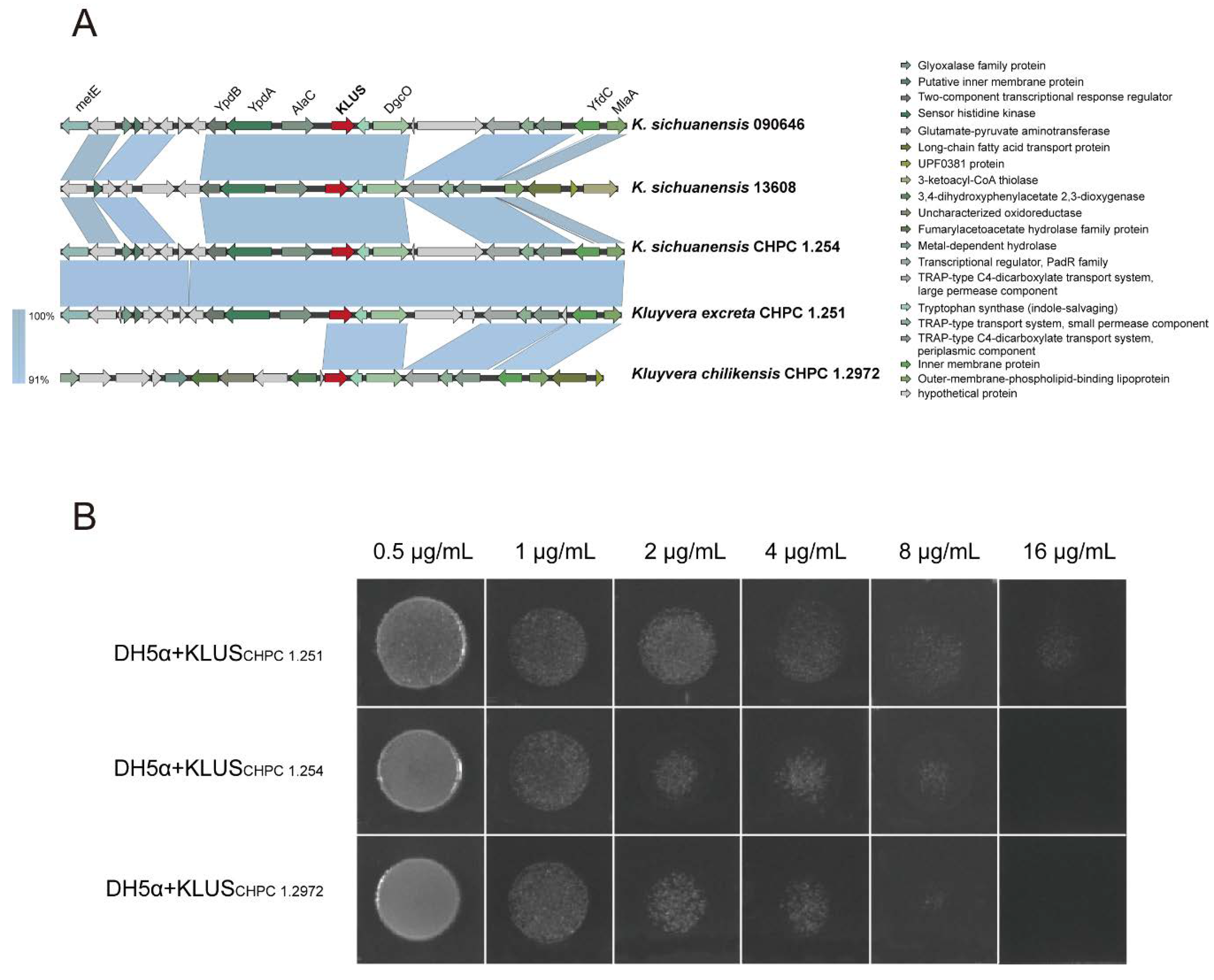 Microorganisms 11 02836 g004 Microorganisms 11 02836 g004