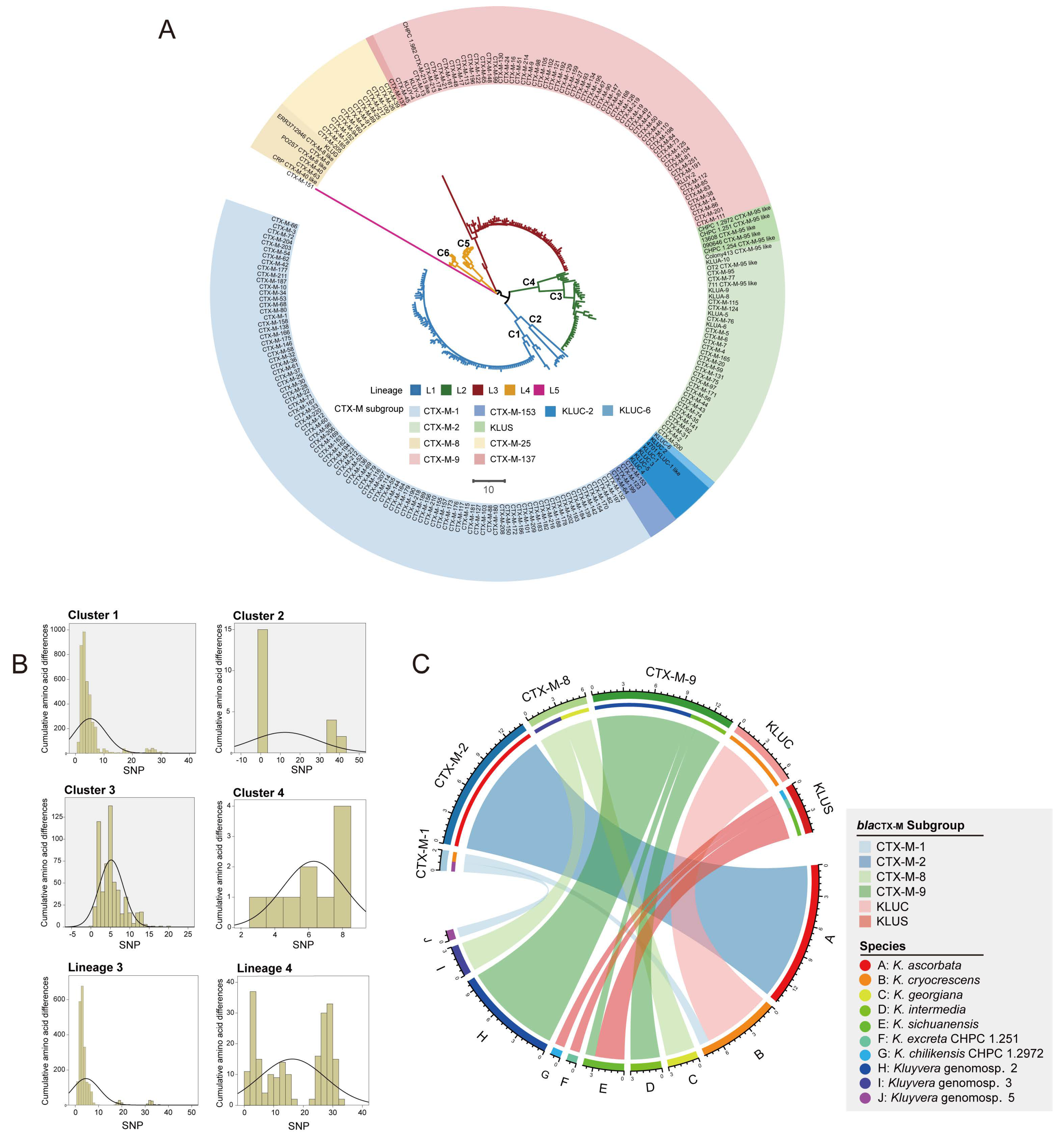 Microorganisms 11 02836 g005 Microorganisms 11 02836 g005