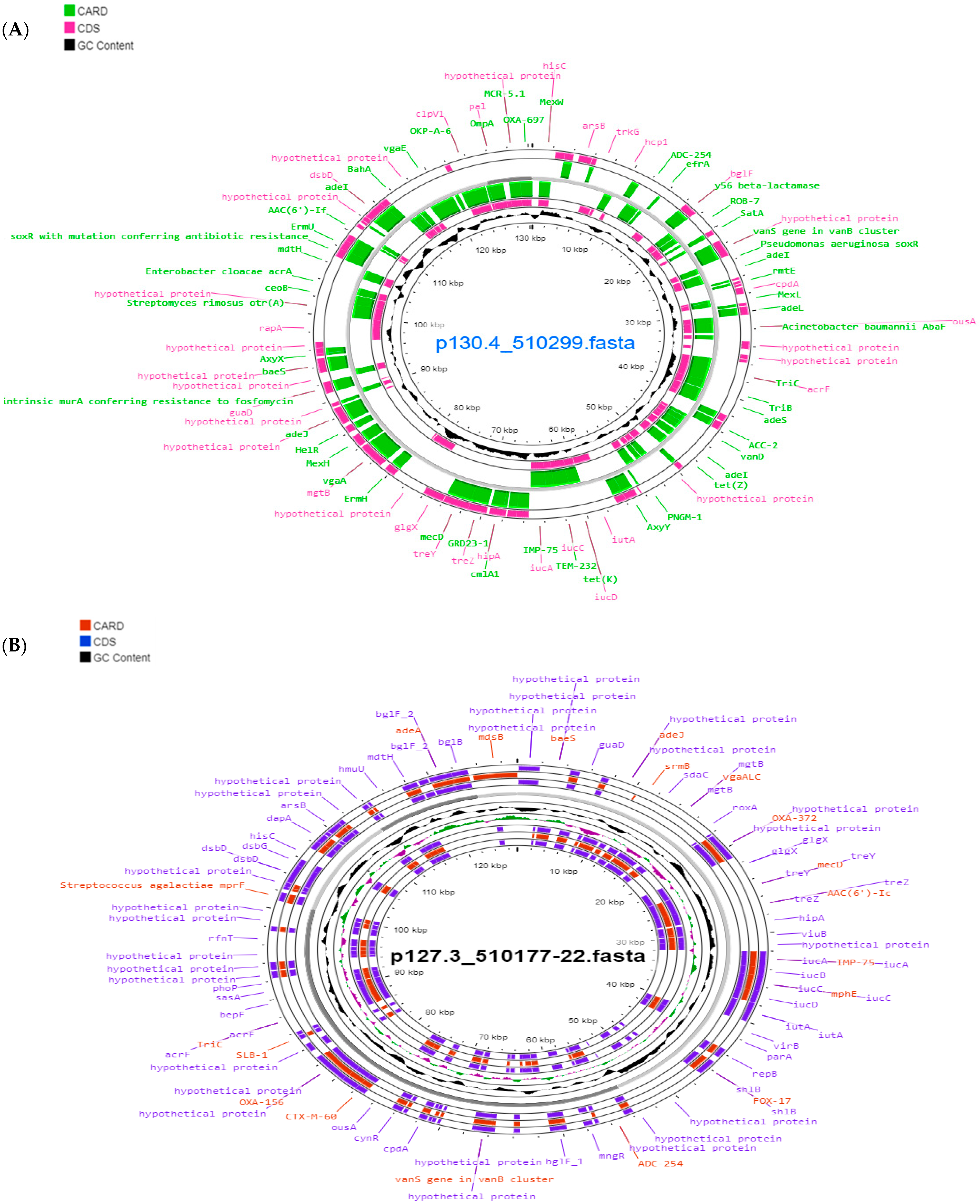 Microorganisms 11 02841 g002