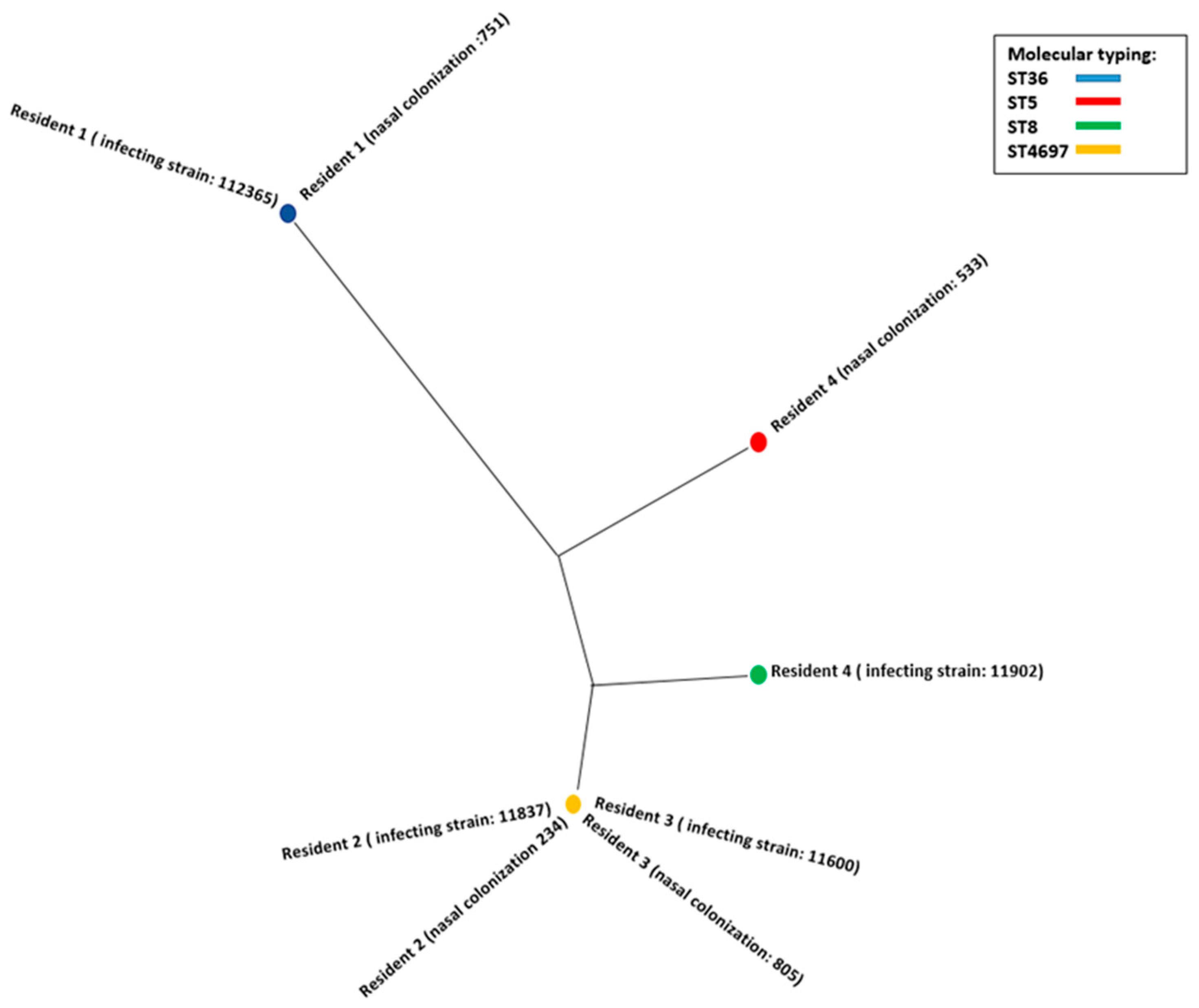 Microorganisms 11 02842 g001