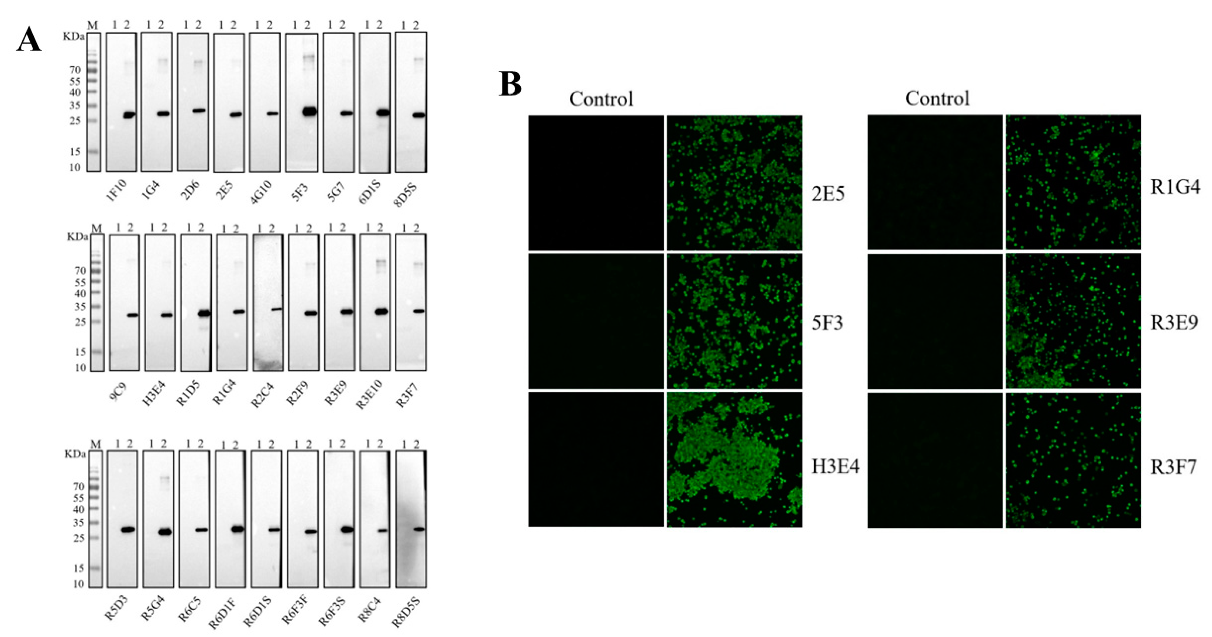 Microorganisms 11 02846 g003