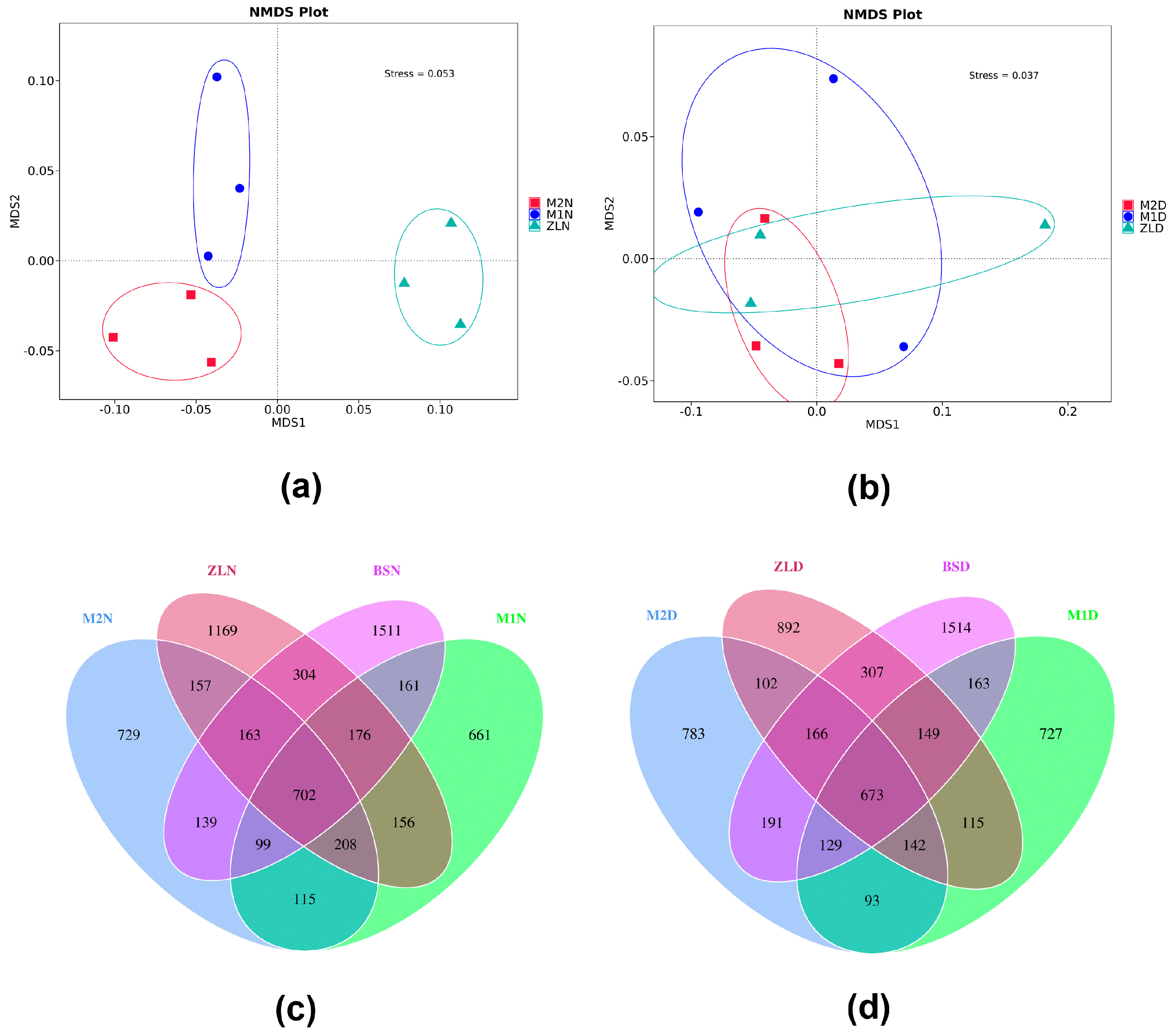 Microorganisms 11 02851 g005