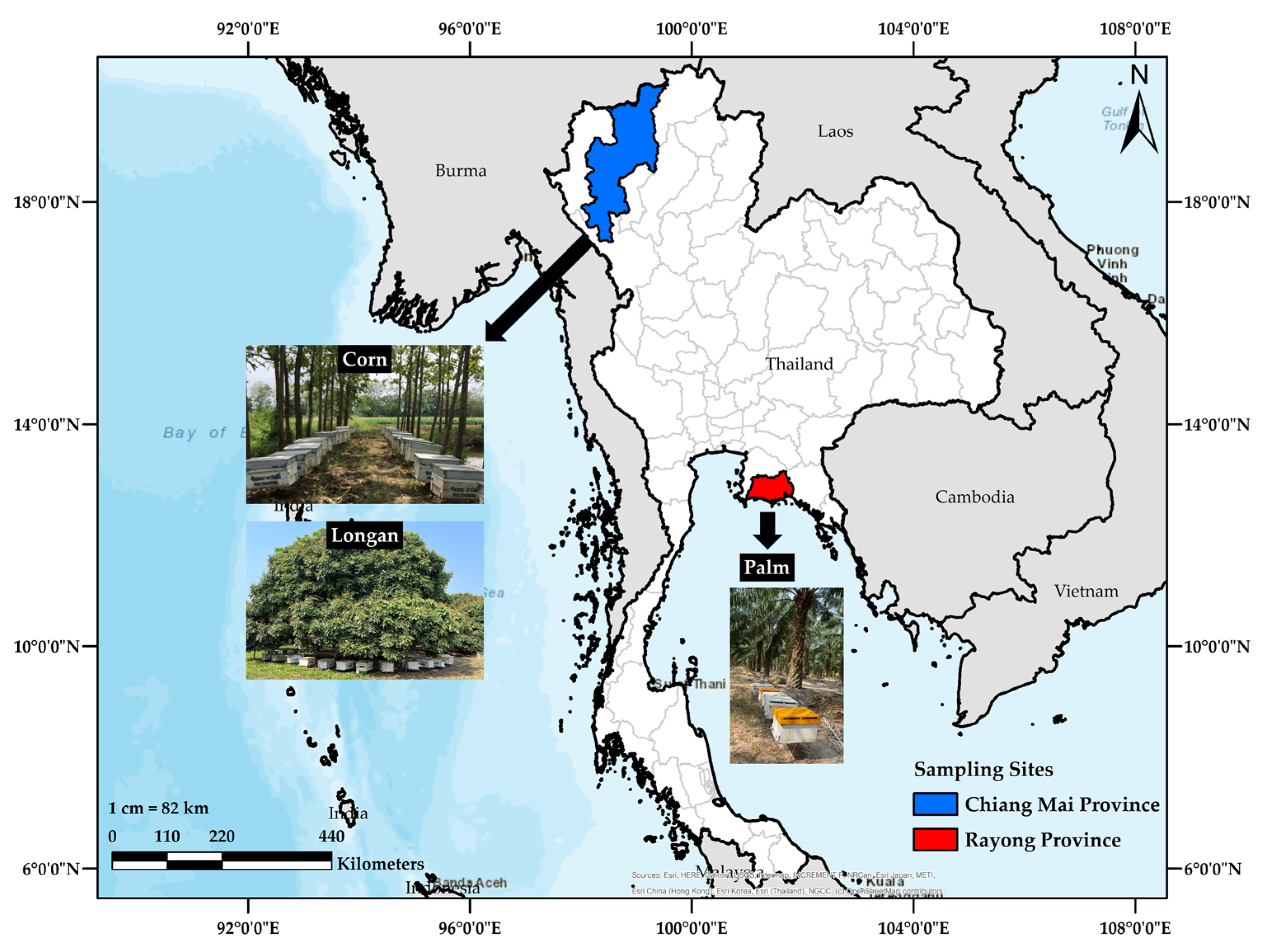 Microorganisms 11 02855 g001