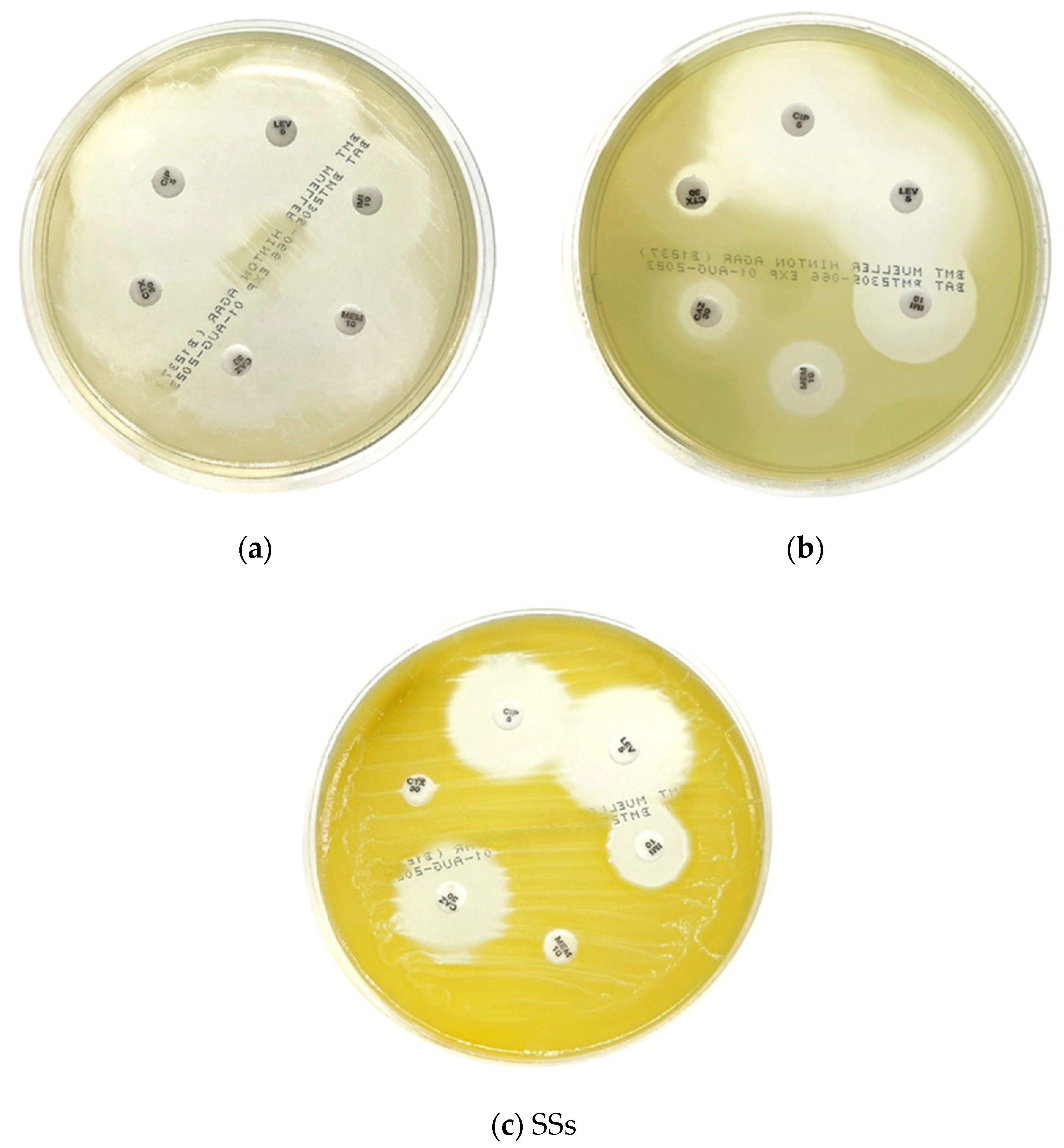 Microorganisms 11 02855 g003