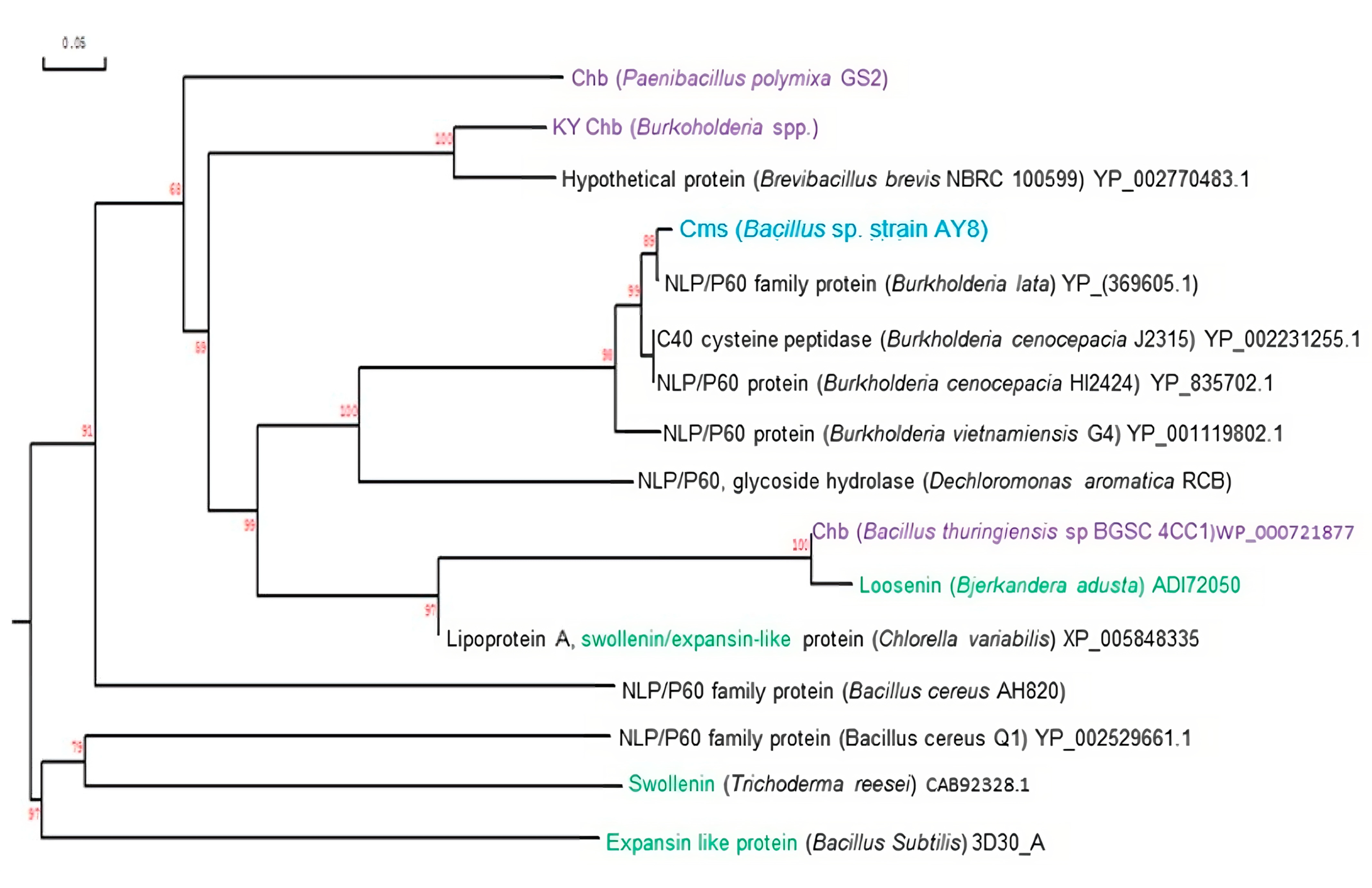 Microorganisms 11 02857 g005 Microorganisms 11 02857 g005