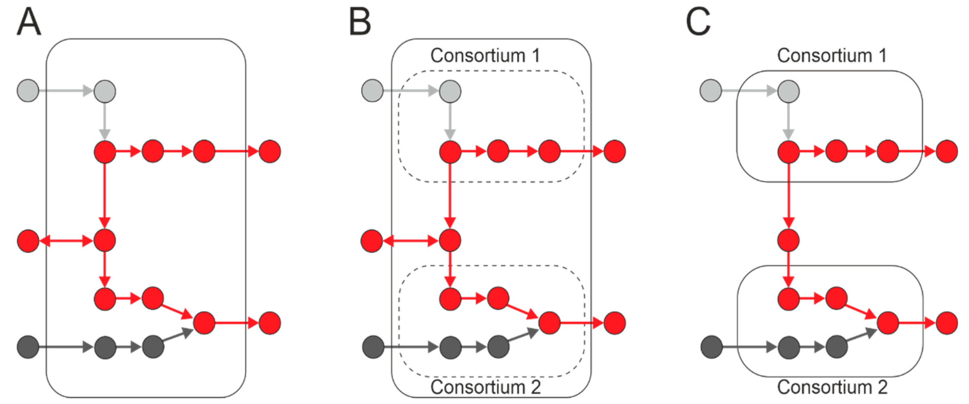 Microorganisms 11 02864 g005 Microorganisms 11 02864 g005