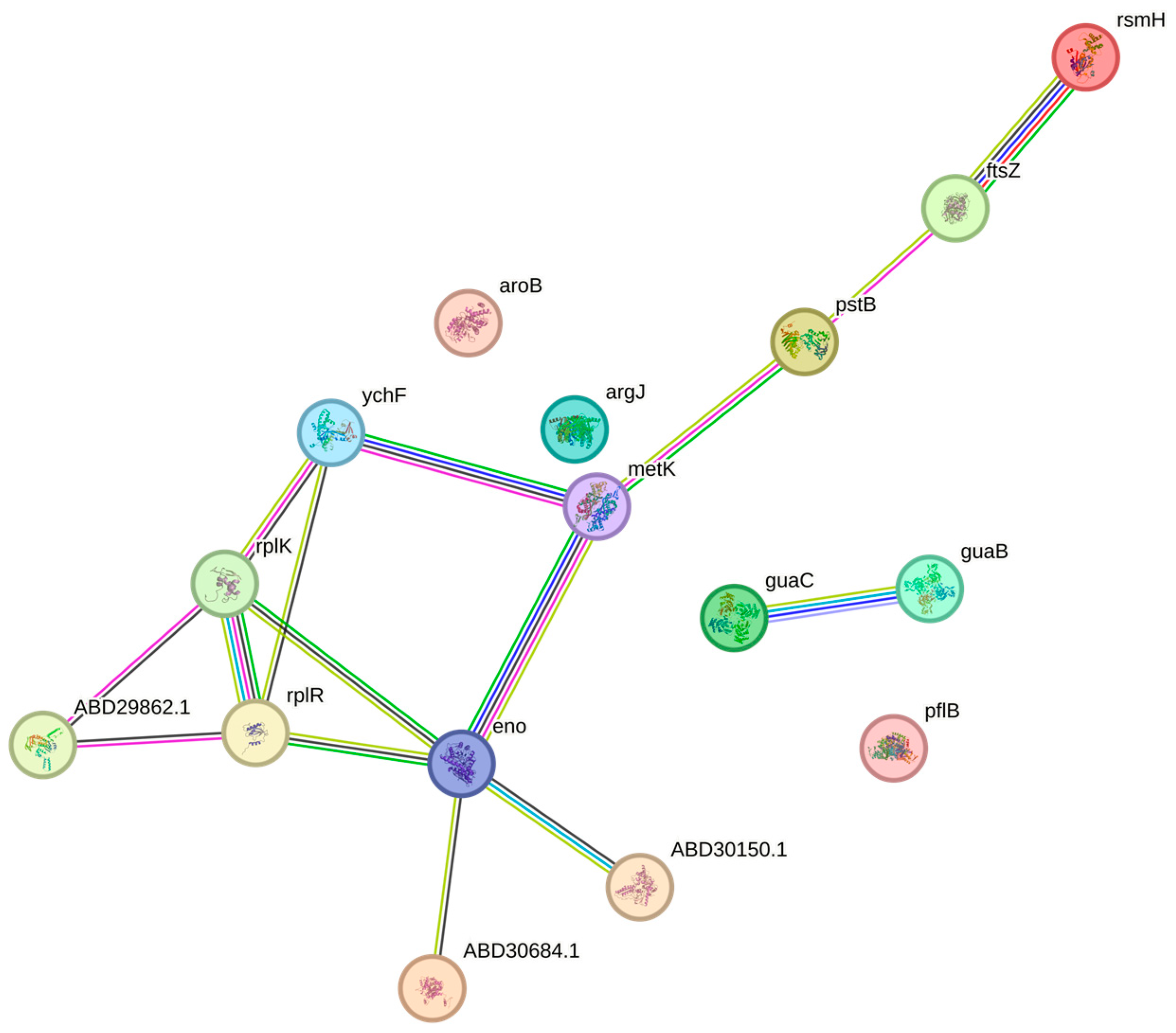 Microorganisms 11 02868 g008