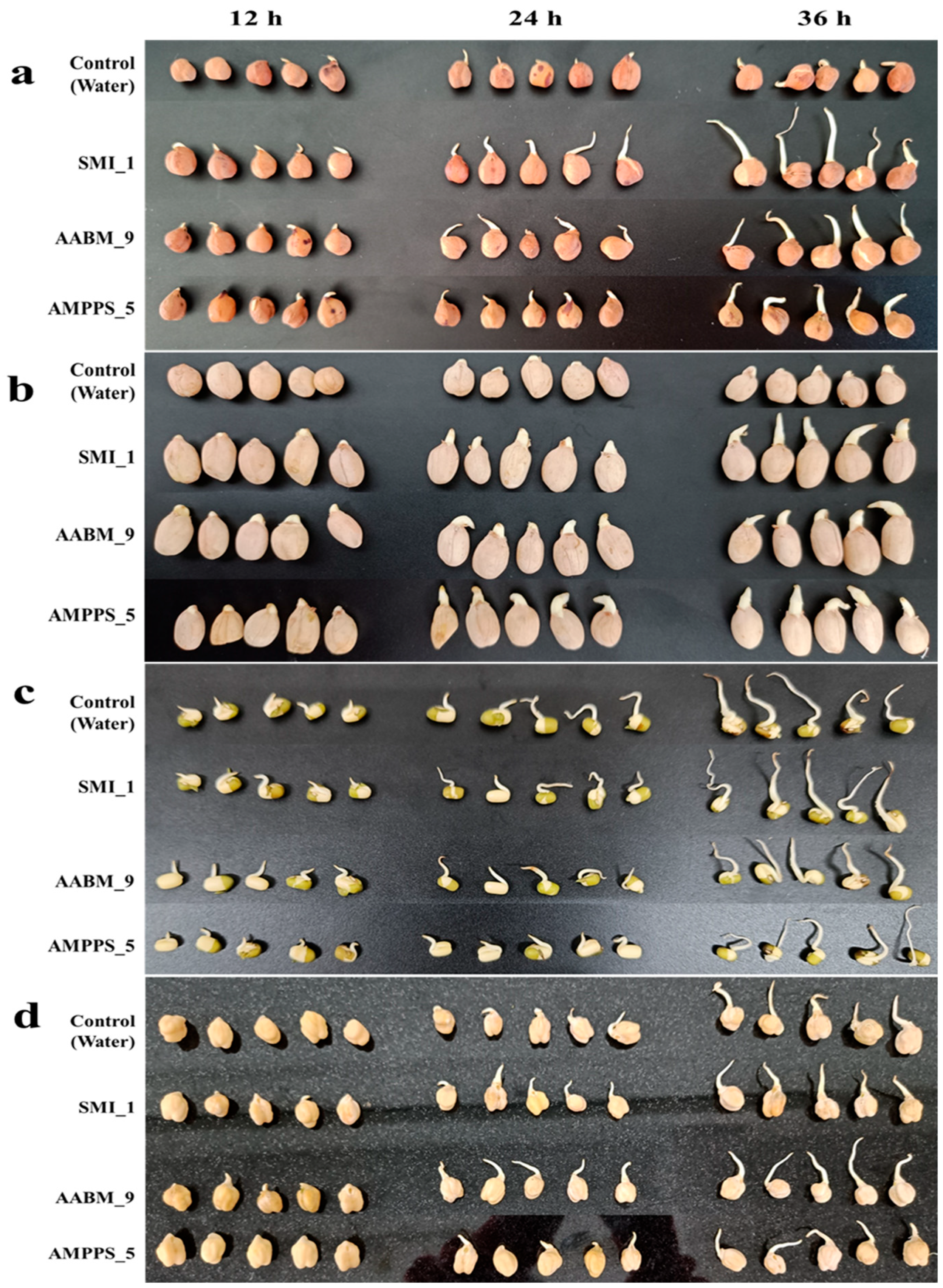 Microorganisms 11 02873 g008 Microorganisms 11 02873 g008