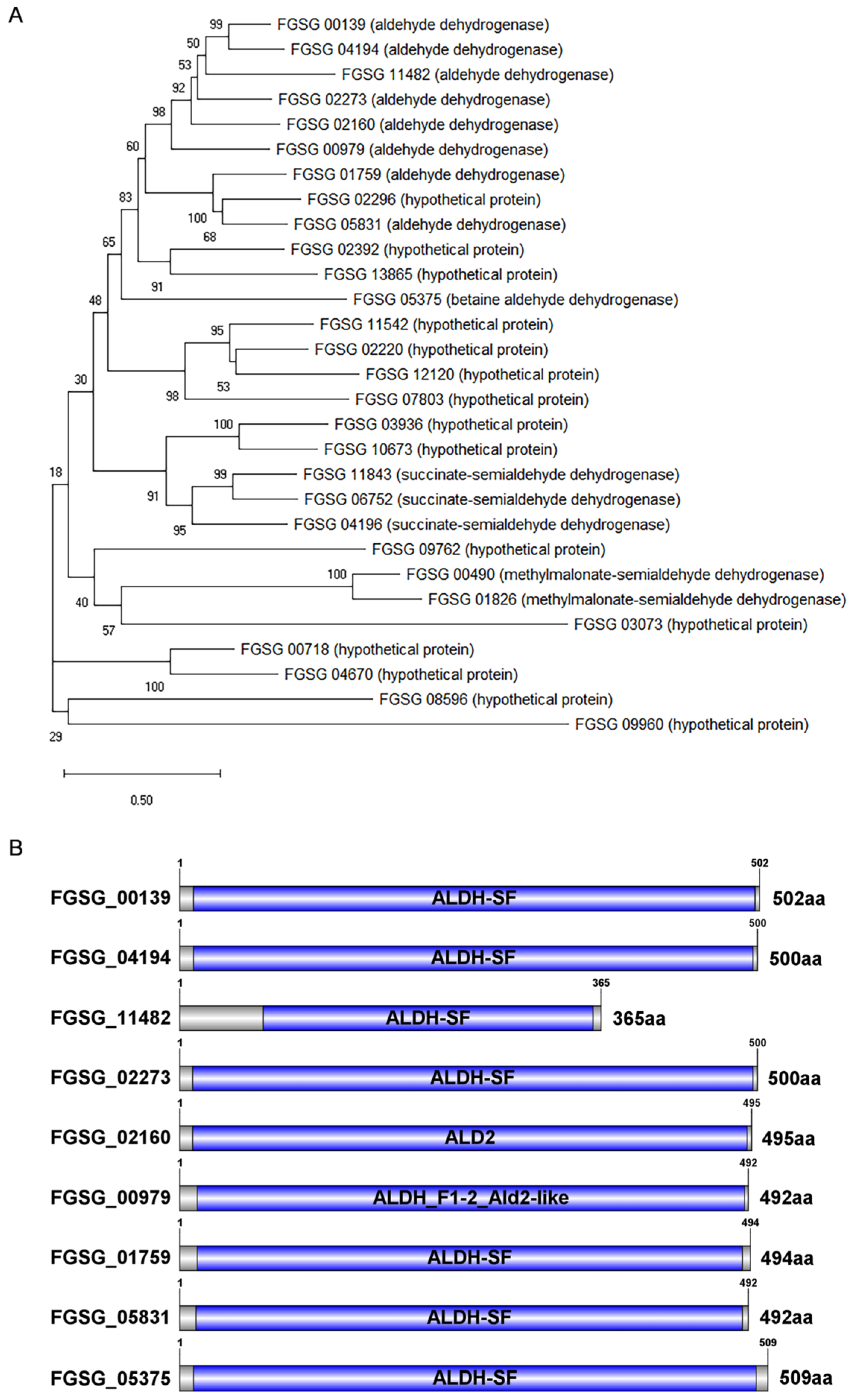 Microorganisms 11 02875 g001