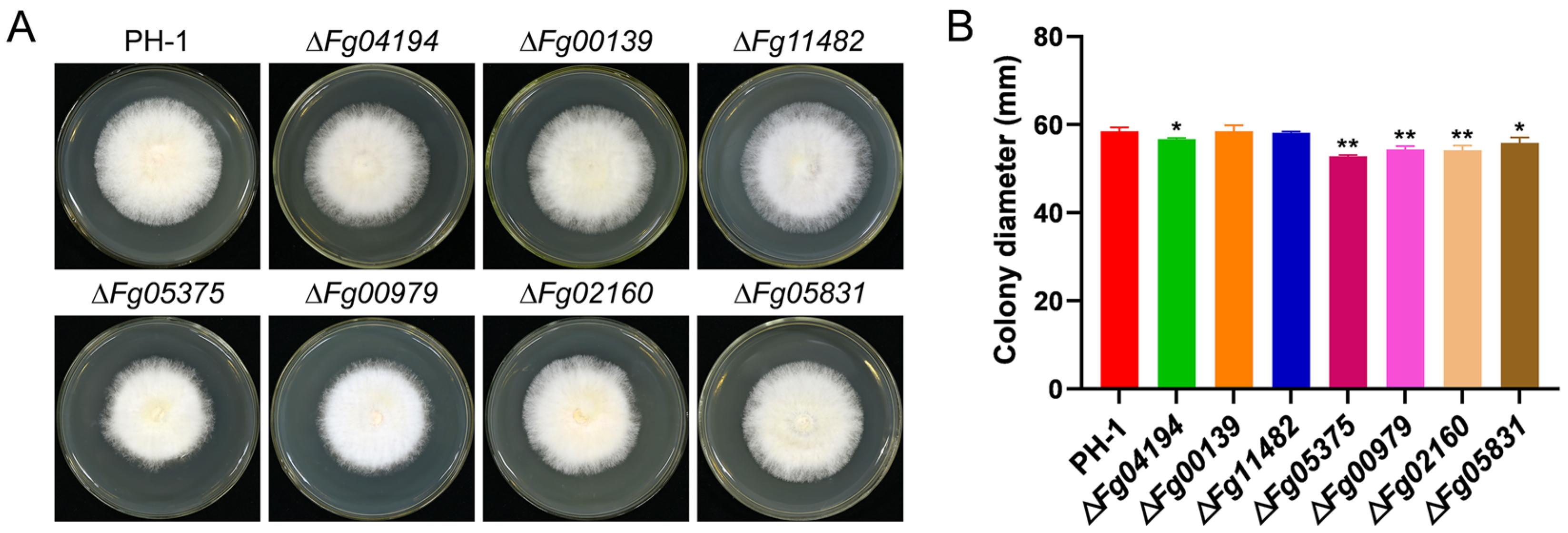 Microorganisms 11 02875 g003