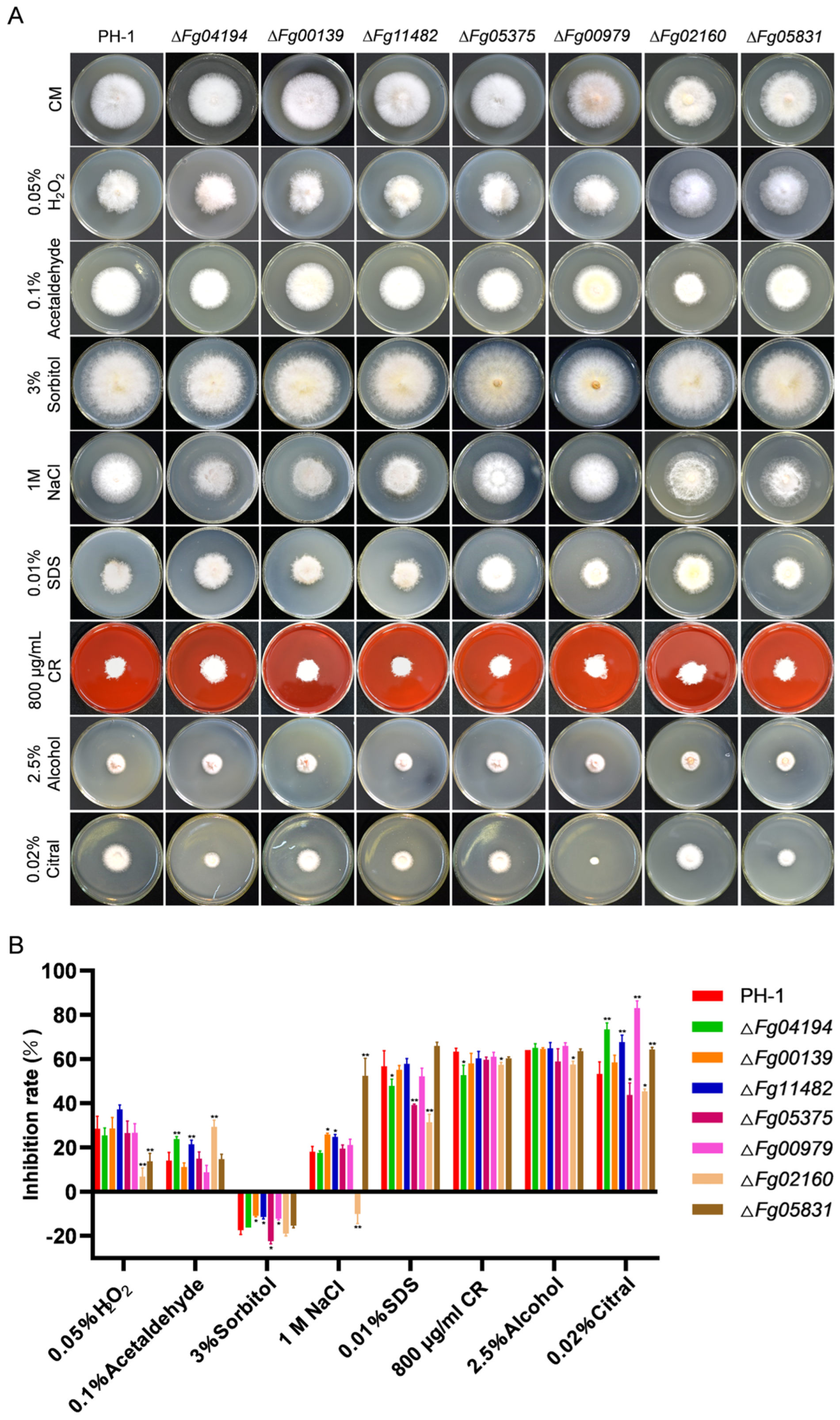 Microorganisms 11 02875 g005