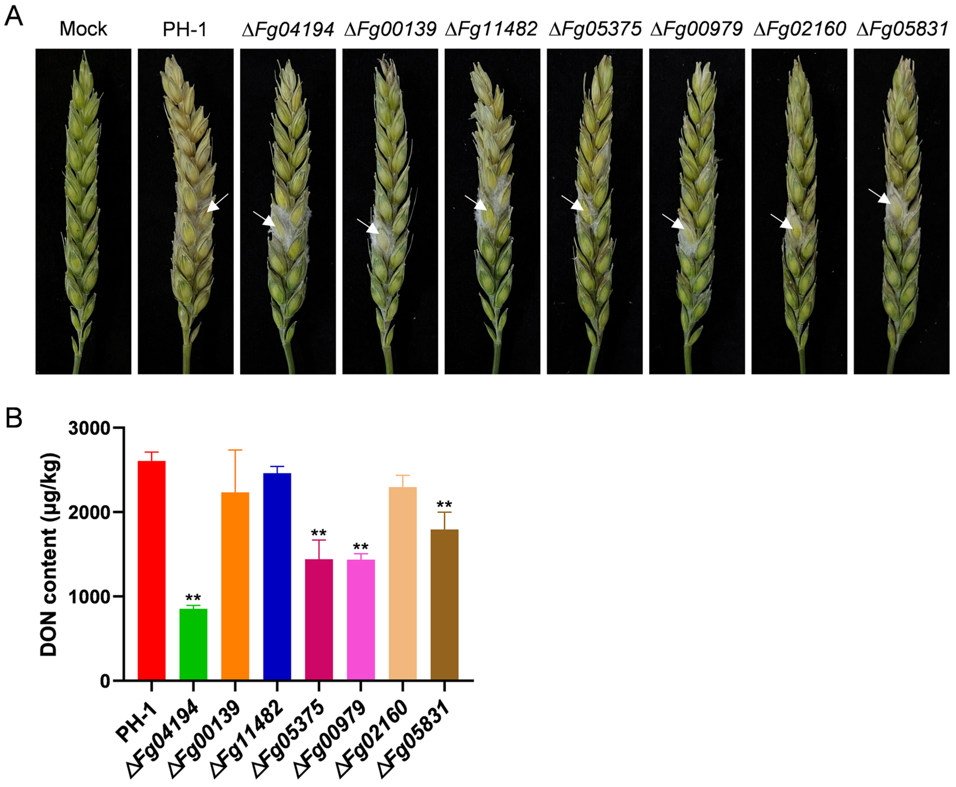 Microorganisms 11 02875 g006