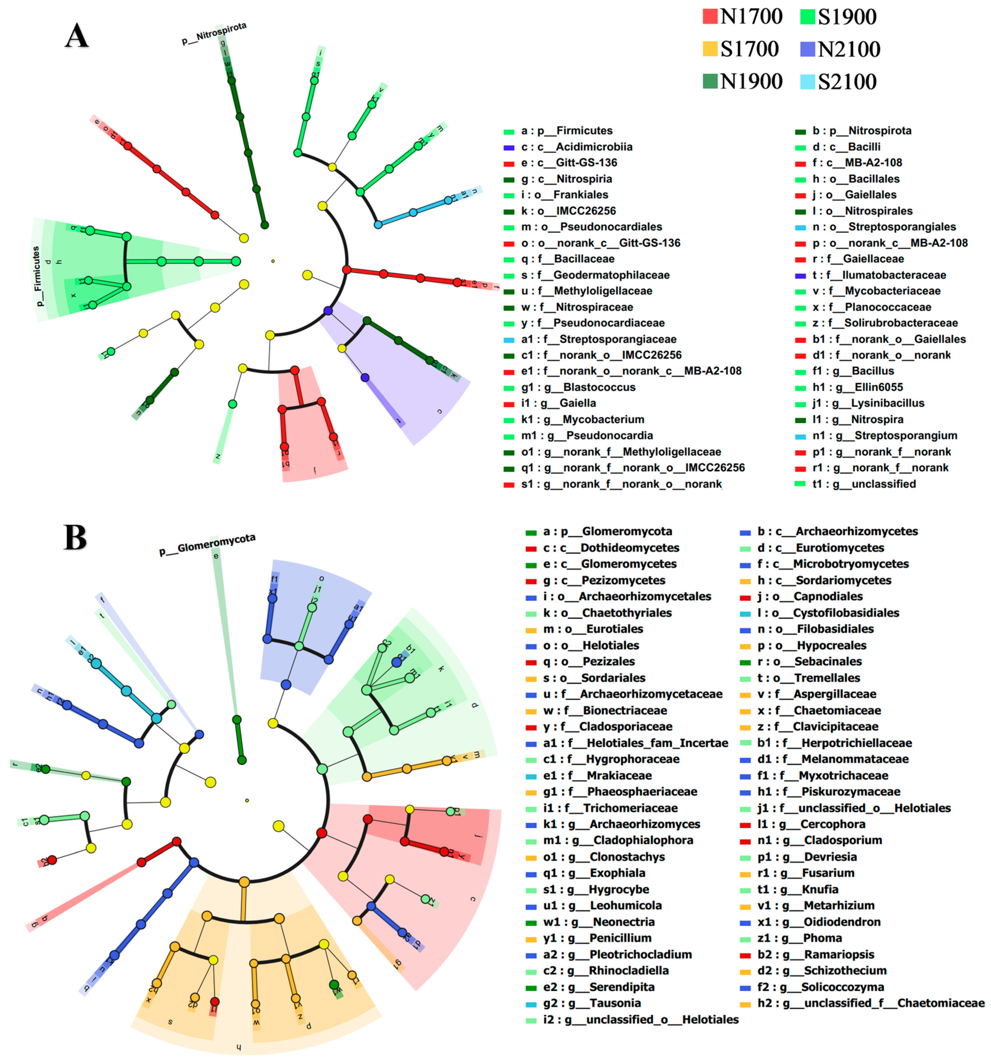 Microorganisms 11 02878 g005