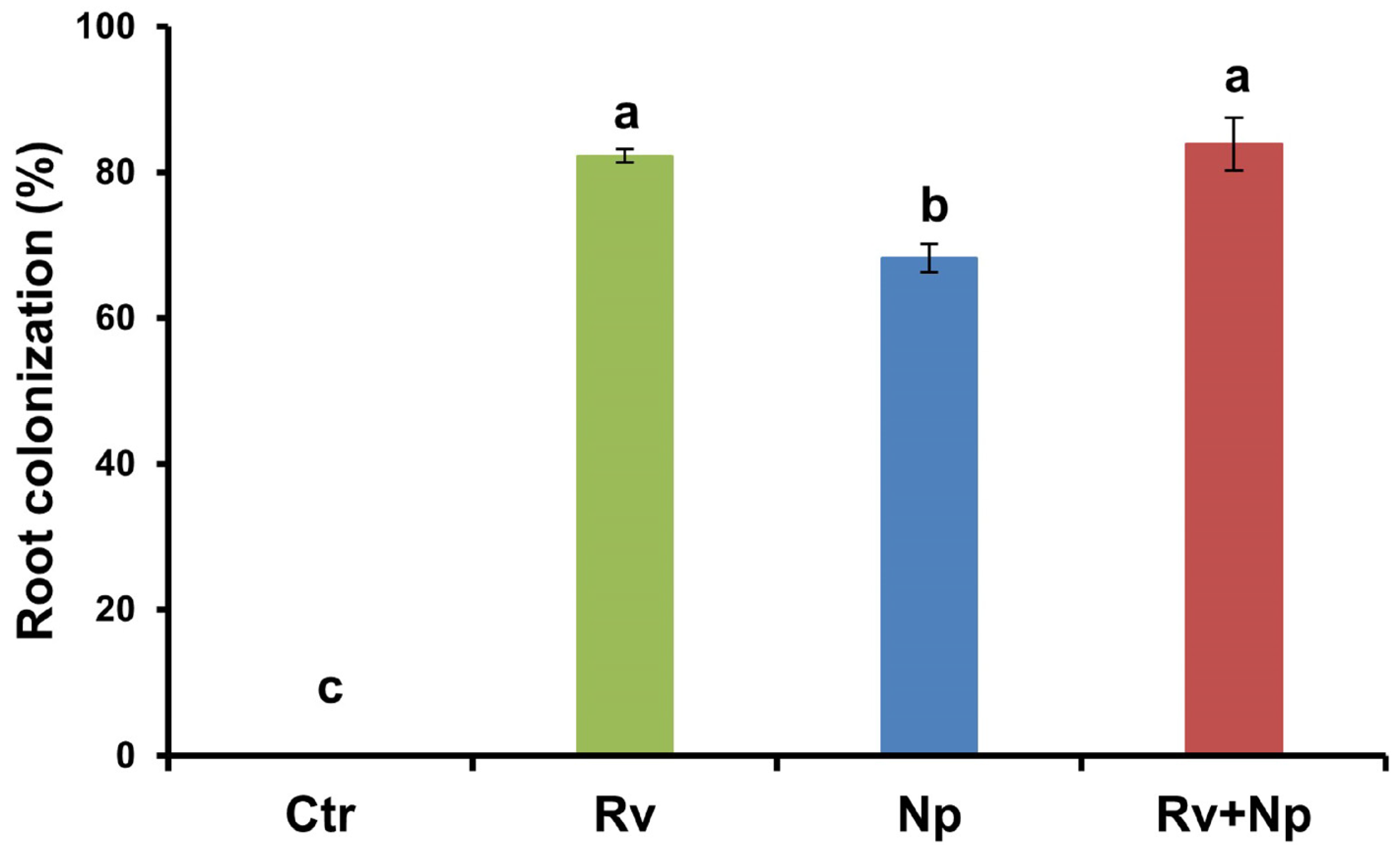 Microorganisms 11 02883 g004 Microorganisms 11 02883 g004