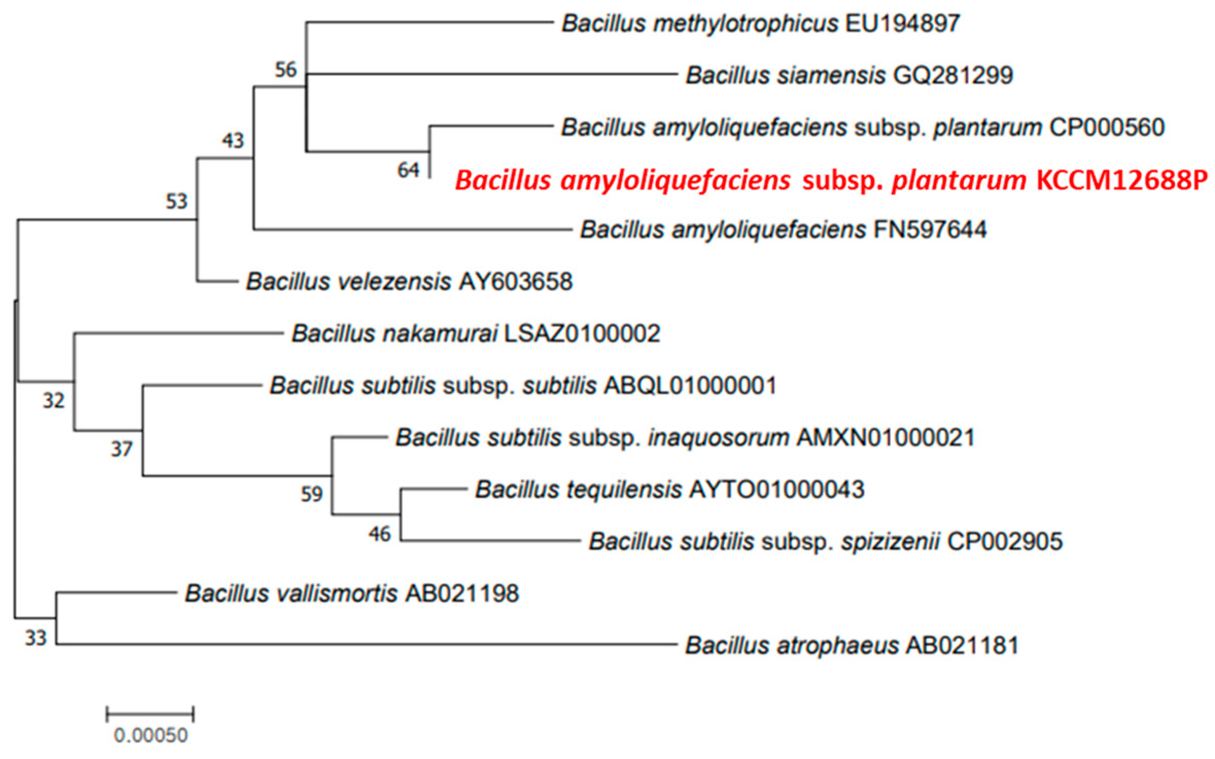 Microorganisms 11 02884 g002