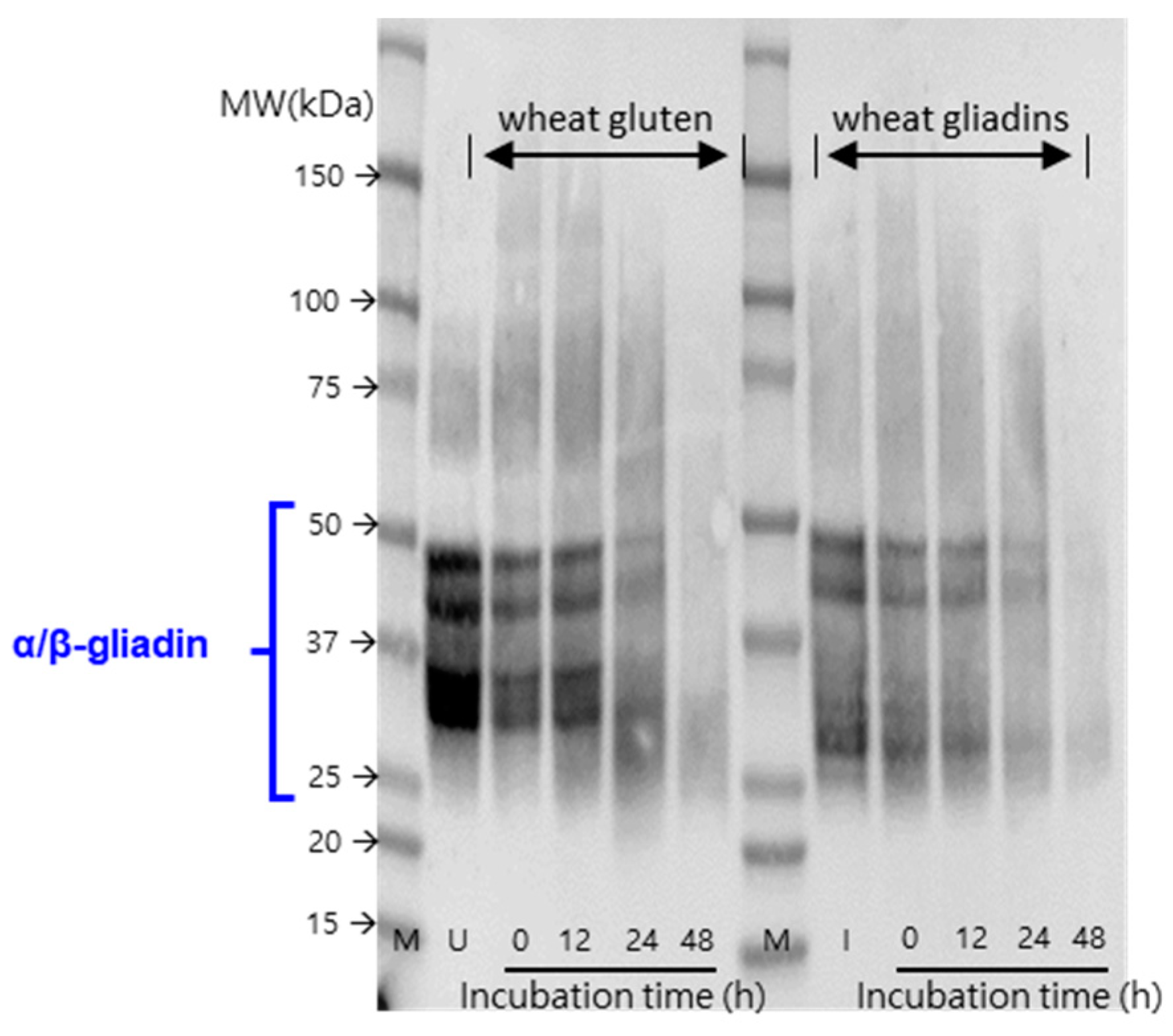 Microorganisms 11 02884 g005