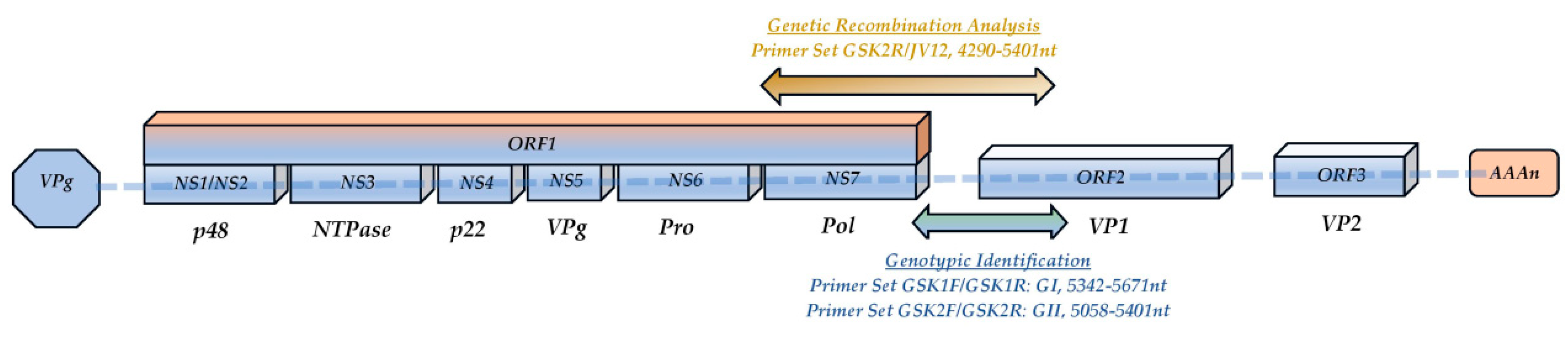 Microorganisms 11 02885 g001