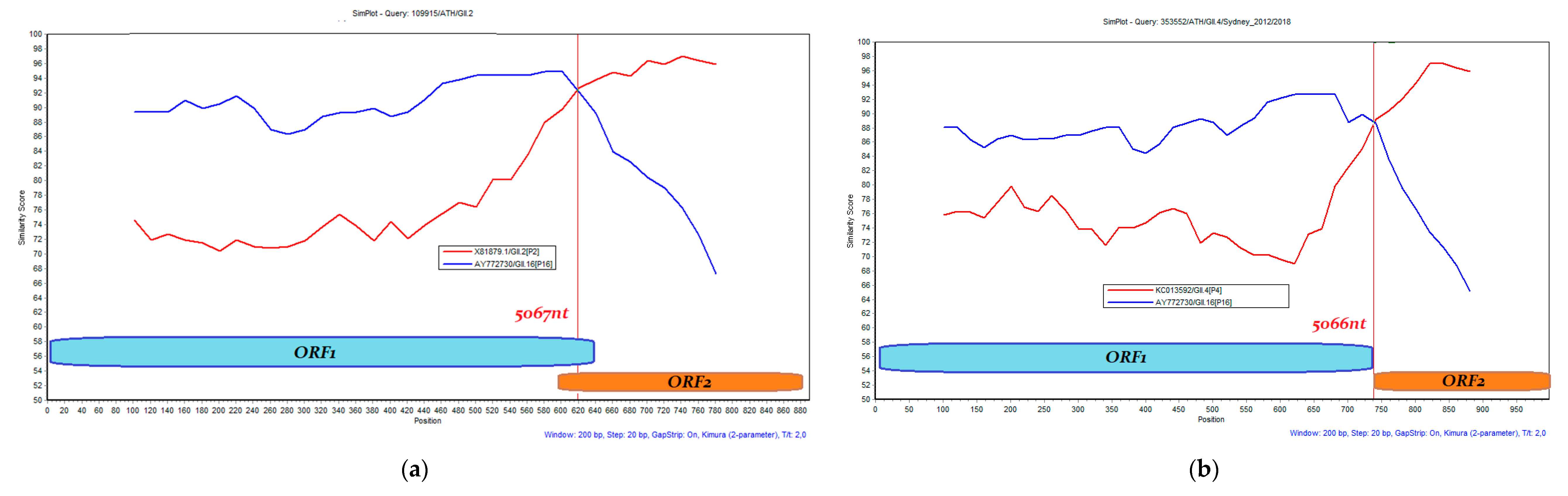 ヴァルキリープロファイル2 -シルメリア- Predominance of Recombinant Norovirus Strains in Greece