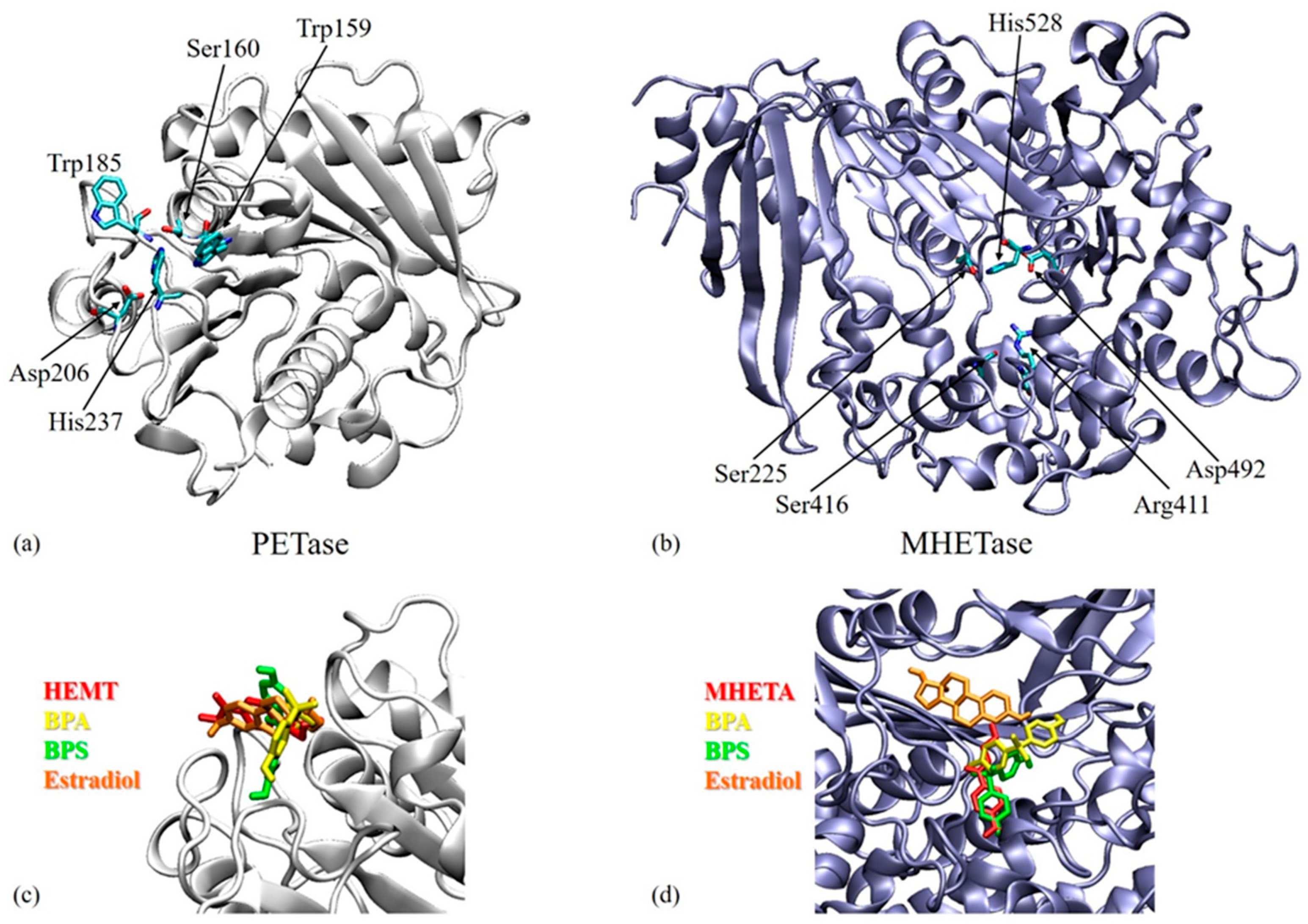 Microorganisms 11 02891 g006