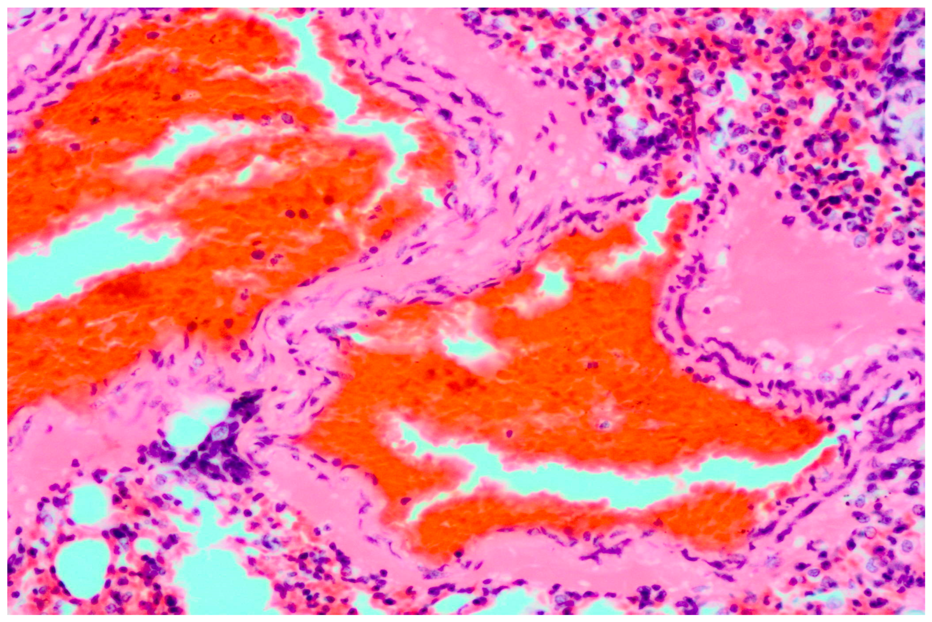 Microorganisms 11 02892 g001
