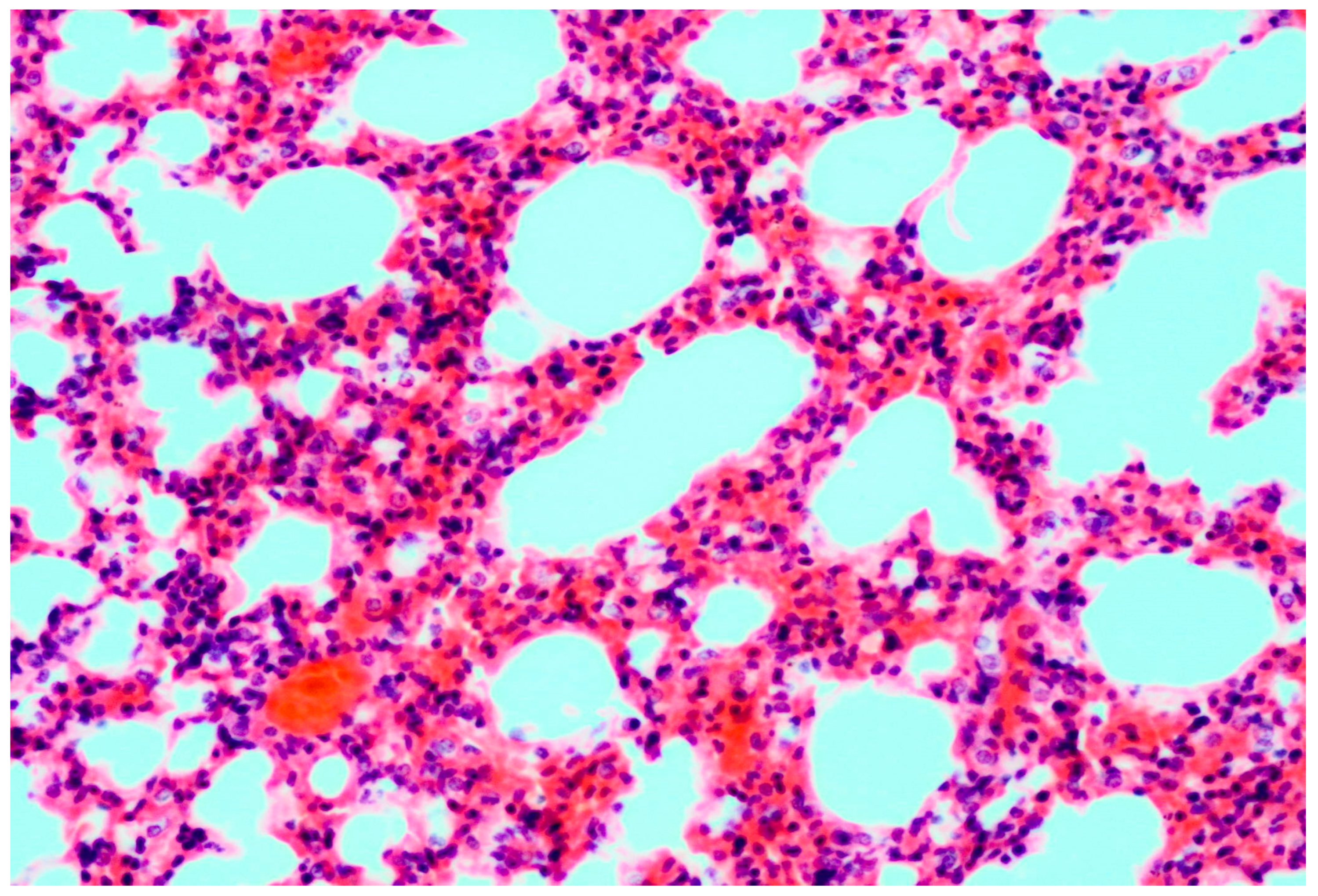 Microorganisms 11 02892 g002