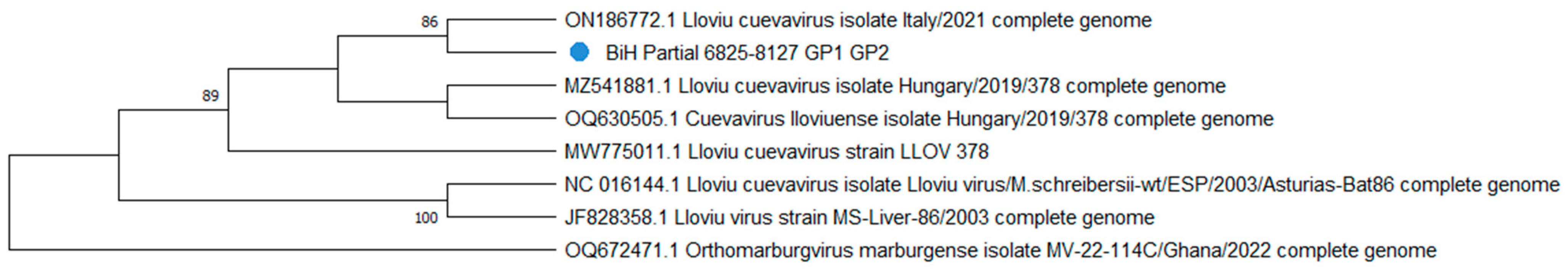 Microorganisms 11 02892 g004