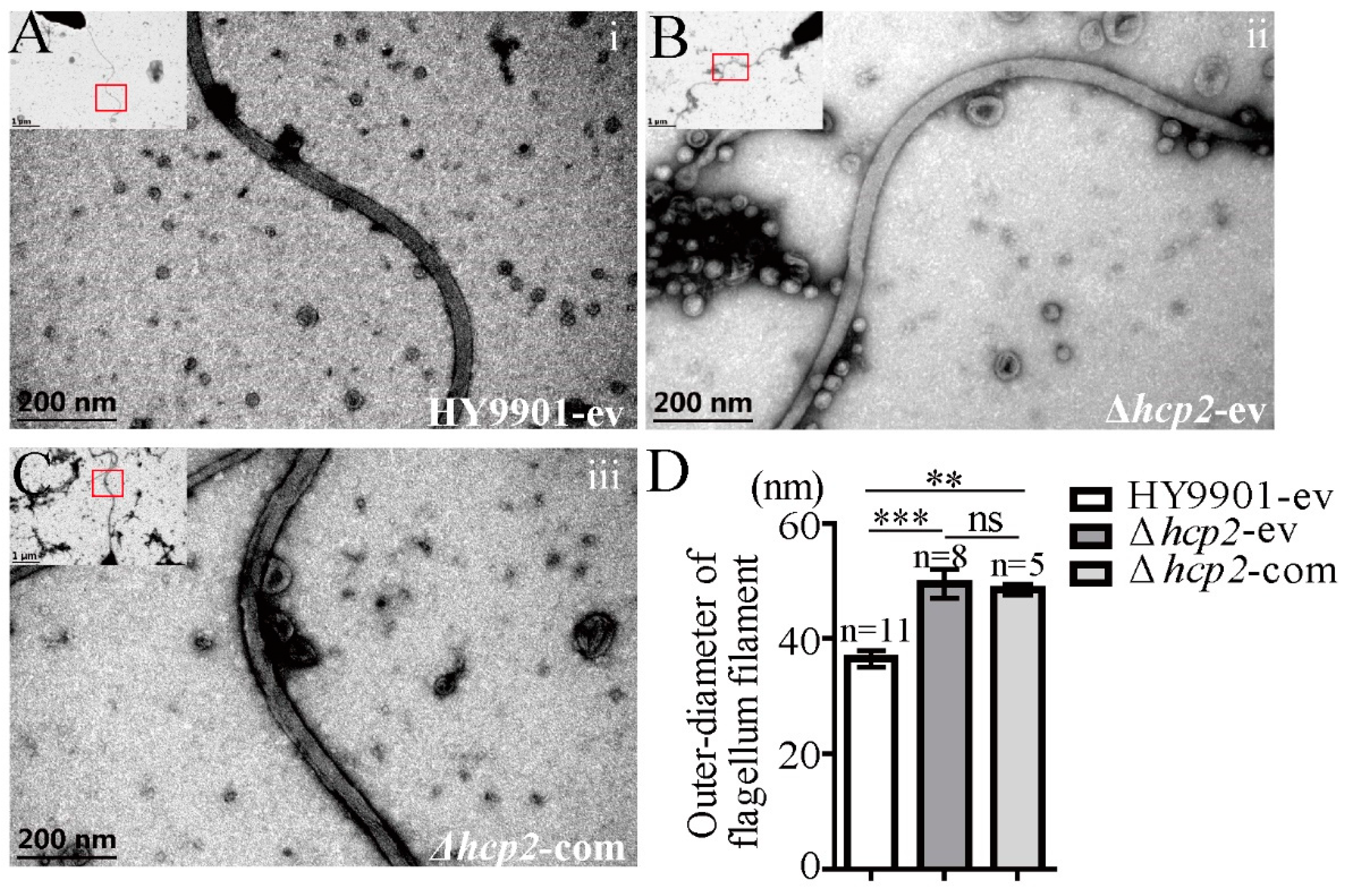 Microorganisms 11 02893 g004