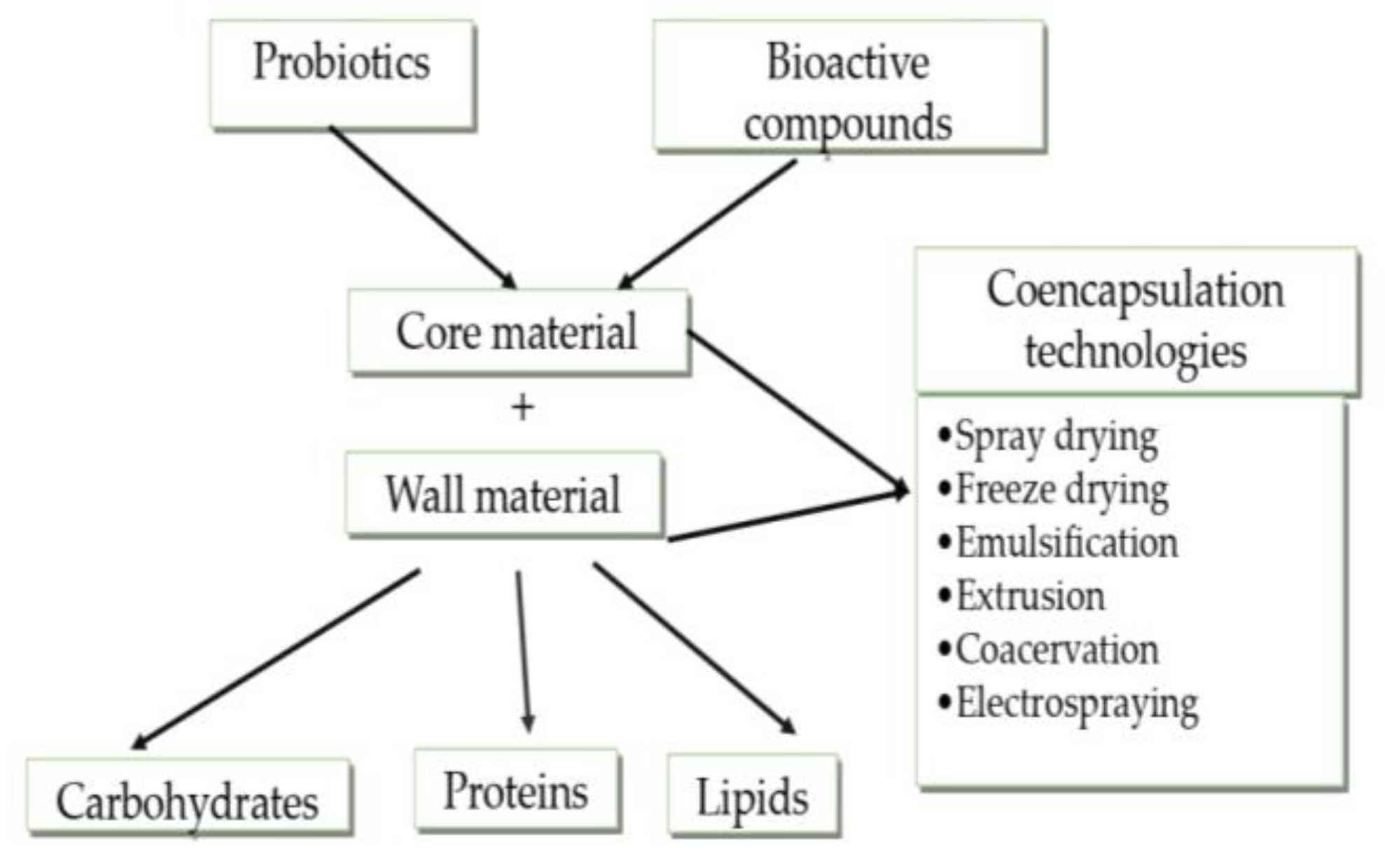 Microorganisms 11 02896 g002