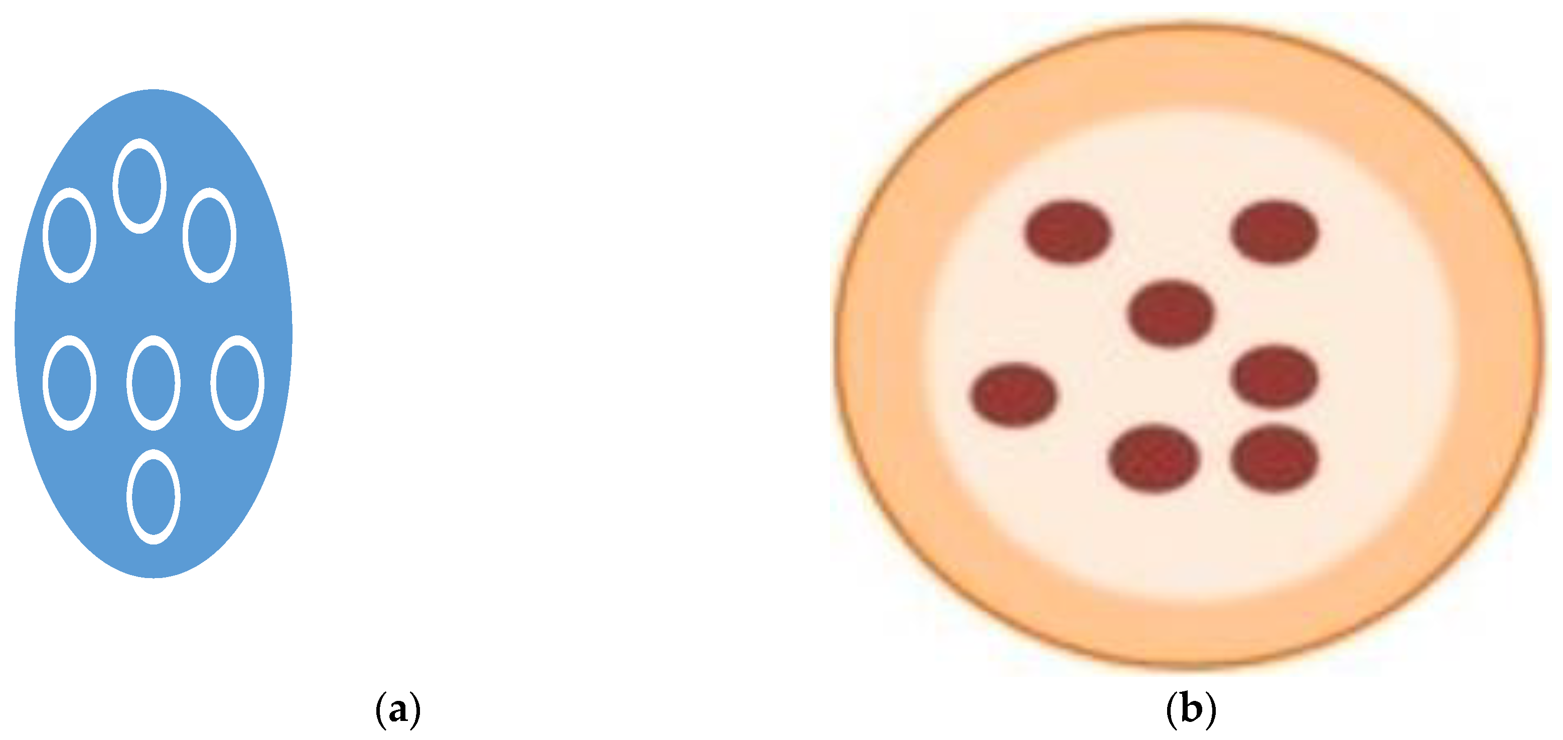 Microorganisms 11 02896 g003