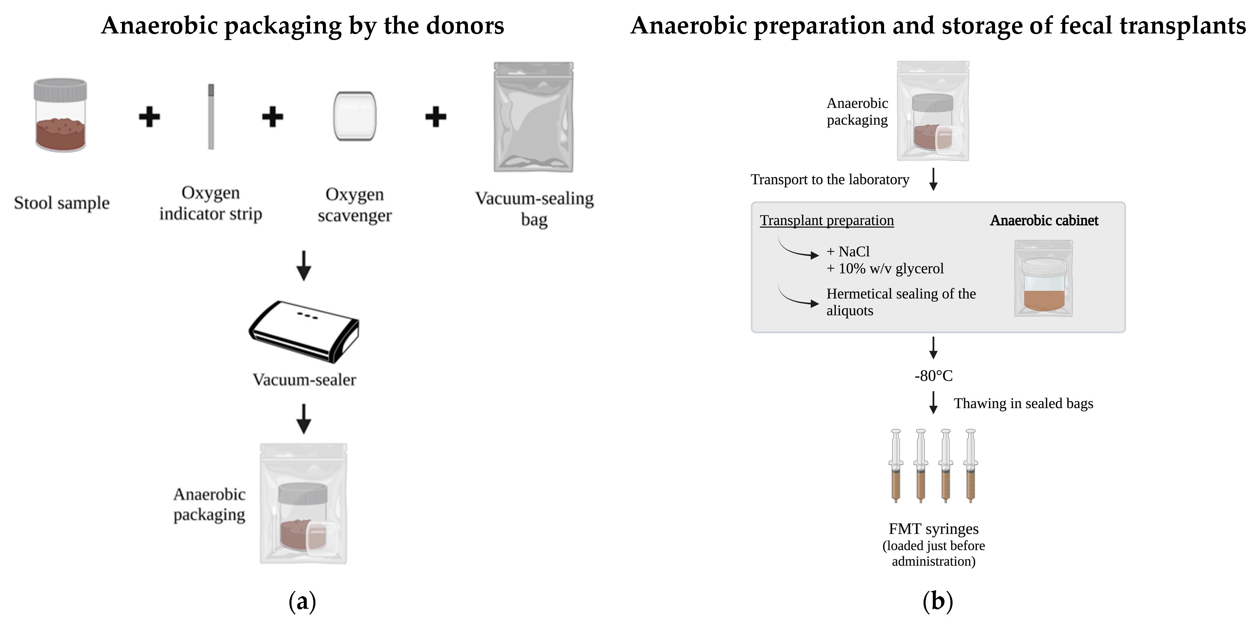 Microorganisms 11 02901 g001