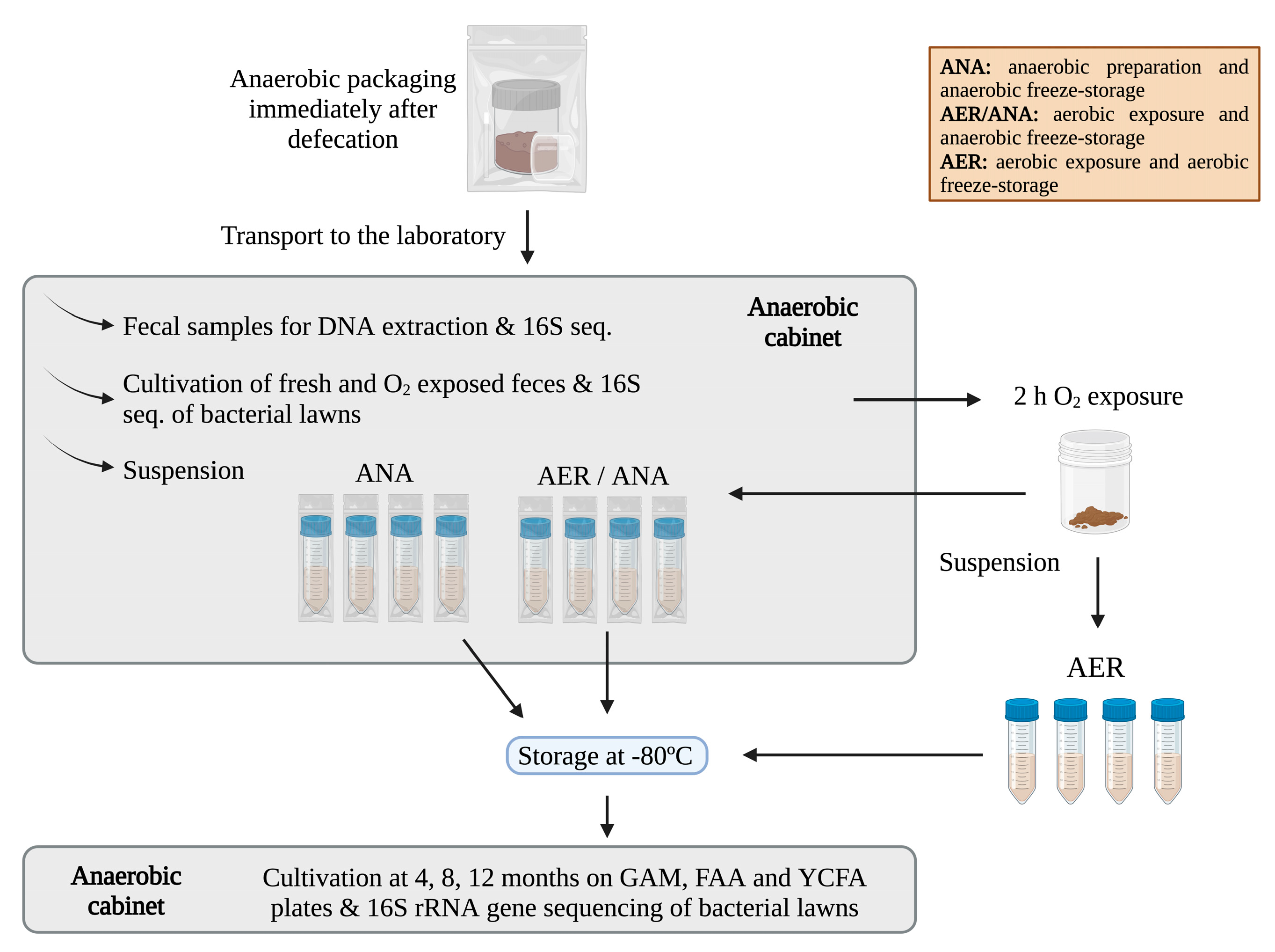 Microorganisms 11 02901 g002