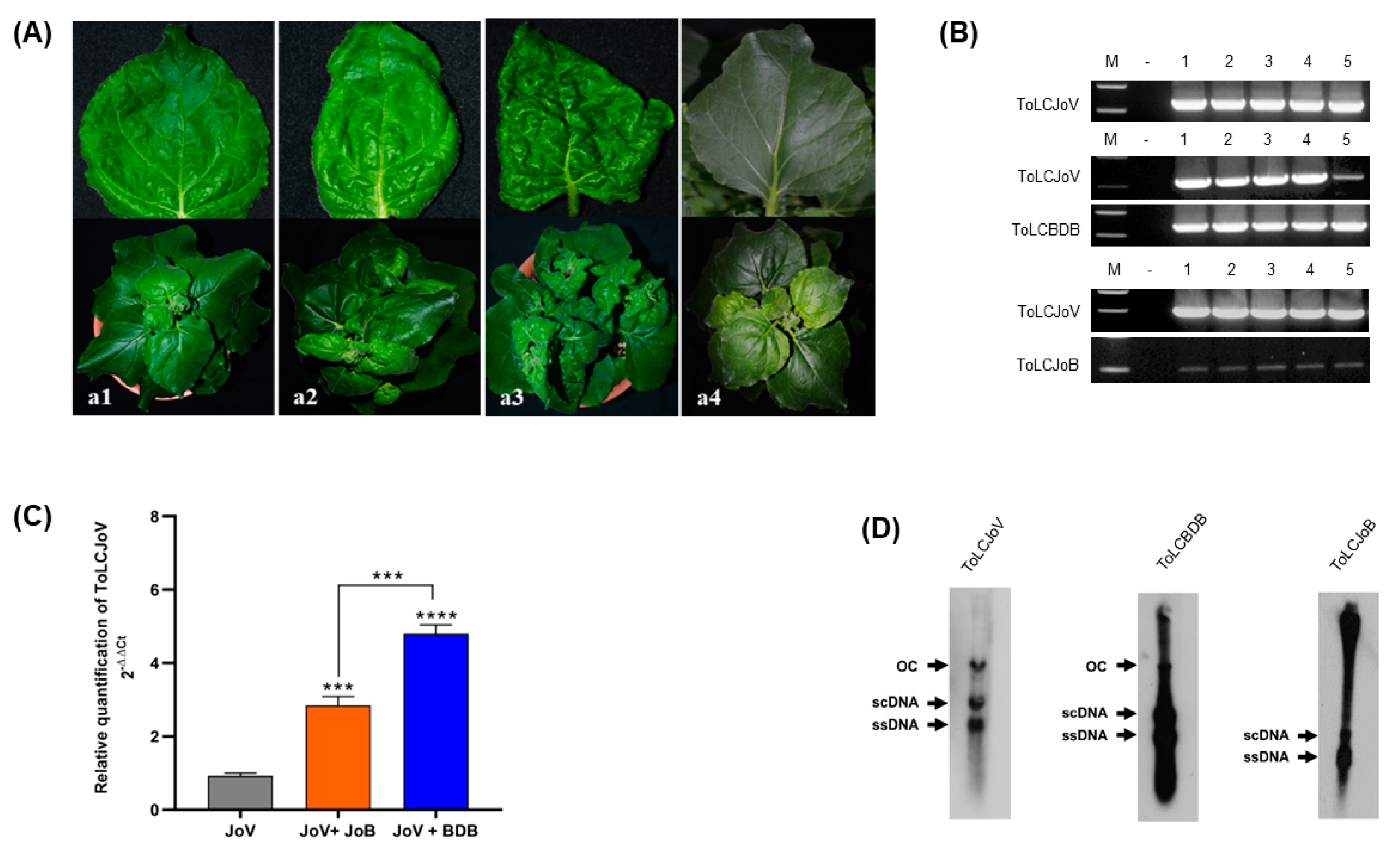 Microorganisms 11 02907 g003
