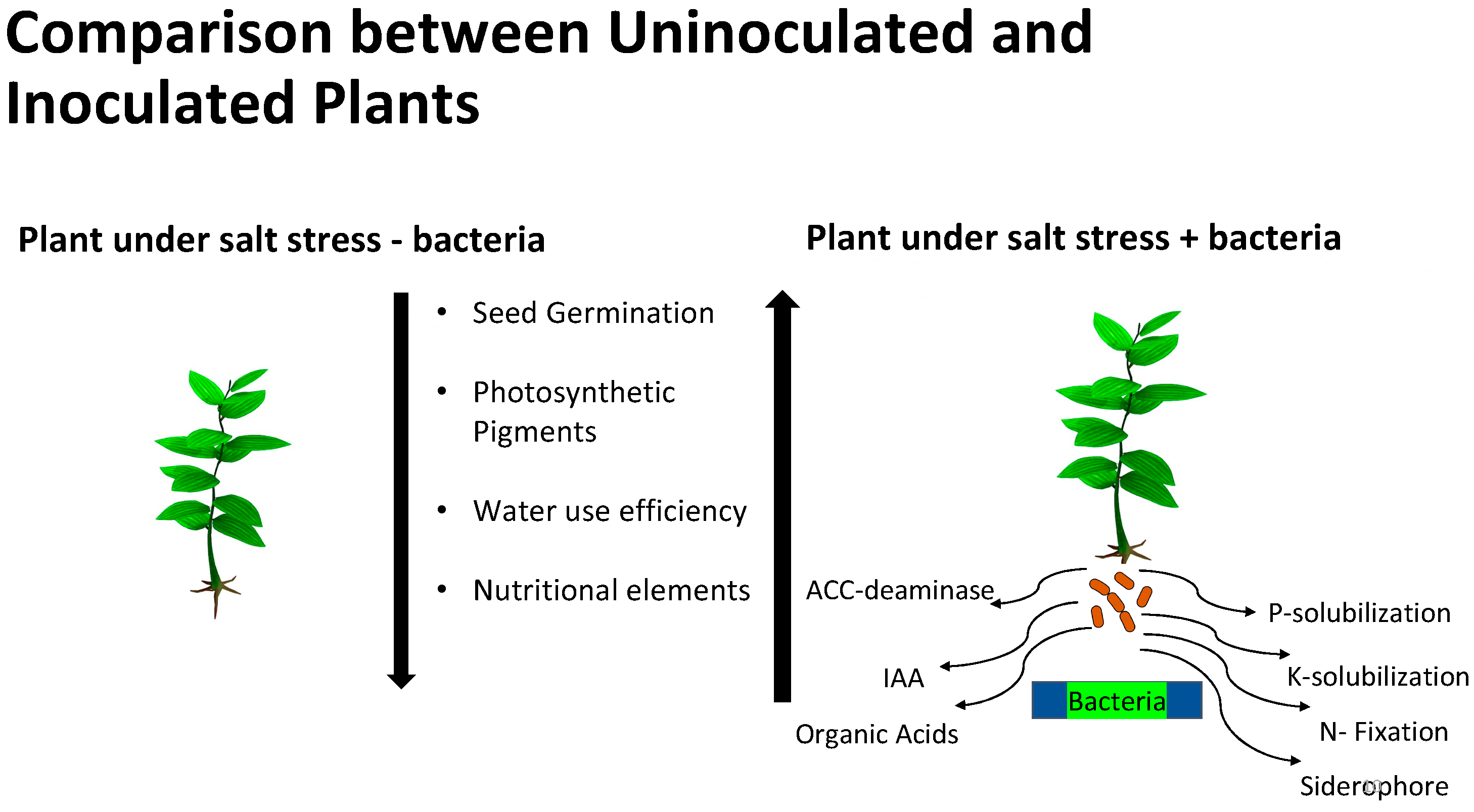 Microorganisms 11 02910 g001 Microorganisms 11 02910 g001
